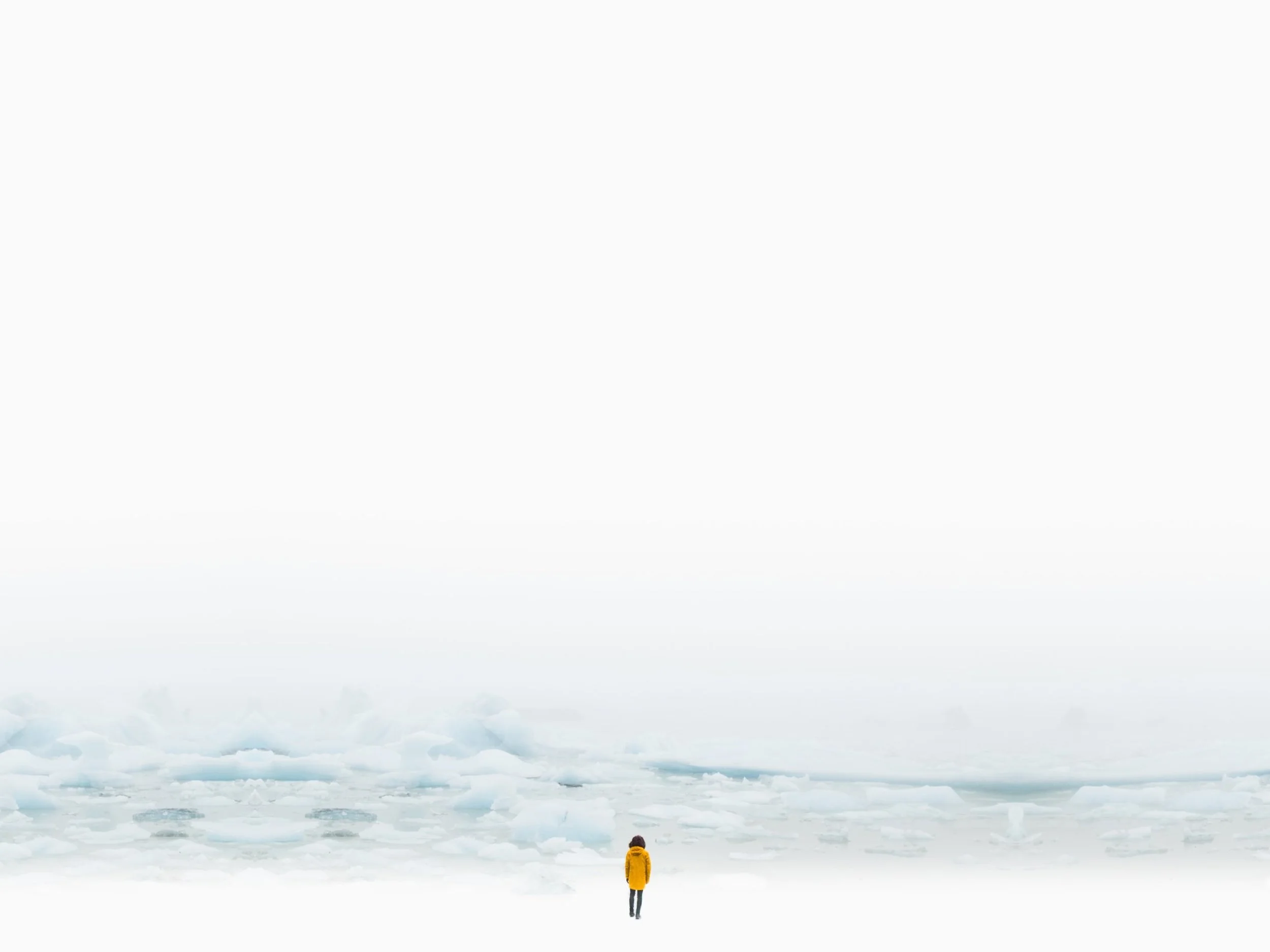 ColinRex Yellow Wide.jpeg