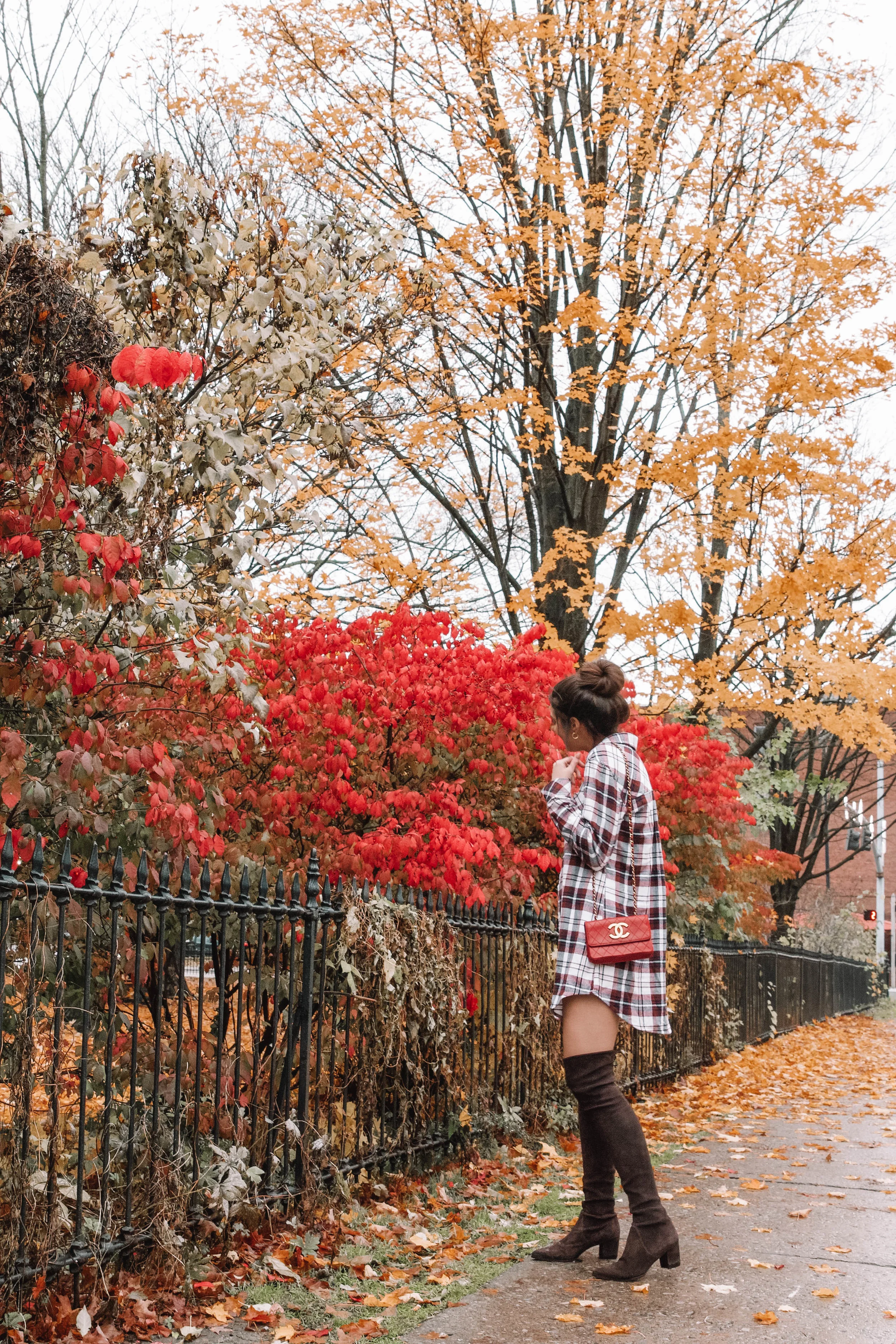 20181103-IMG_9898 (1).jpg