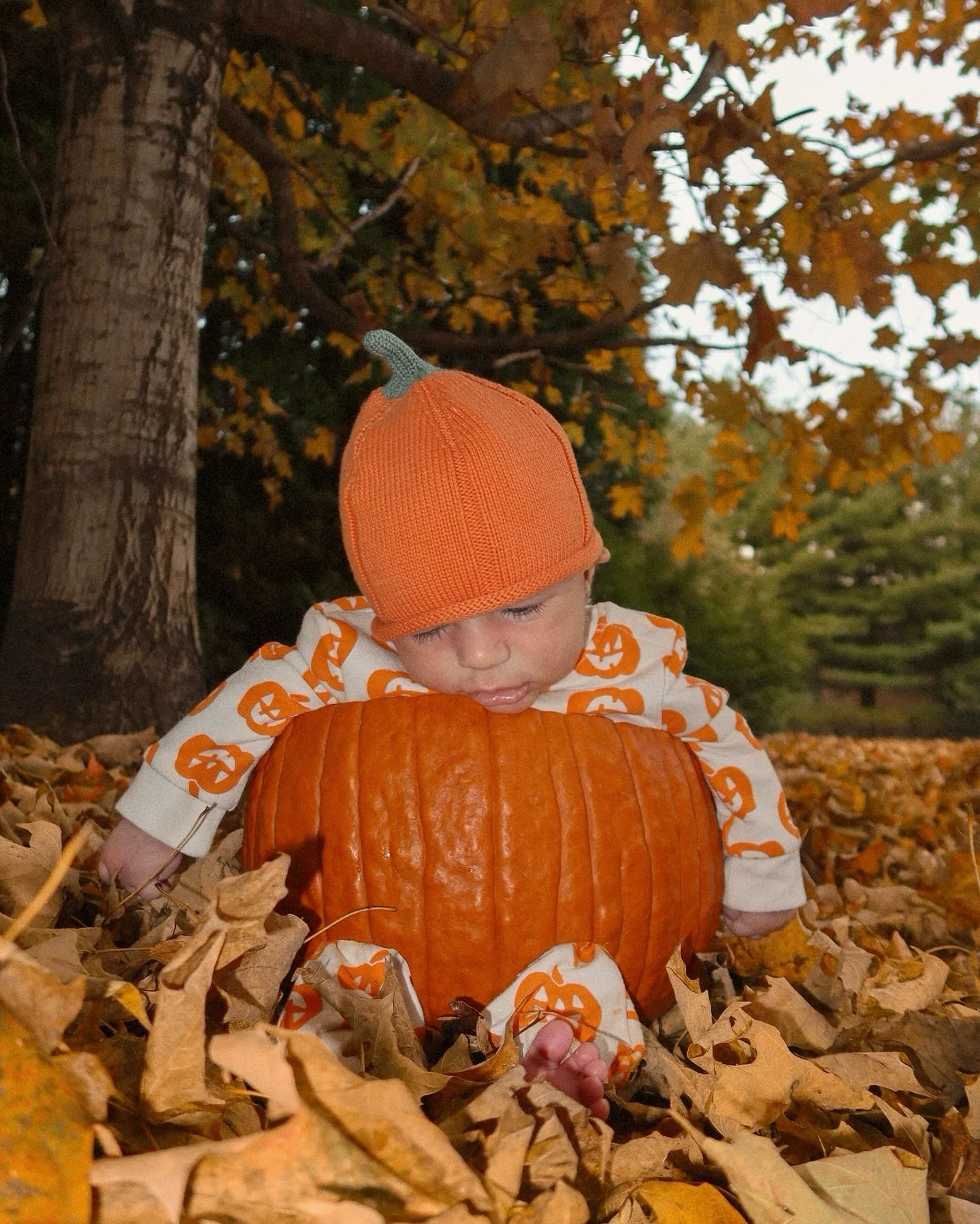 our little pumpkin is two months old today🎃!! your little smiles, coos and kicks are everything! and yes… we put our sleepy baby in a pumpkin🤣 we love you so much buddy!🧡