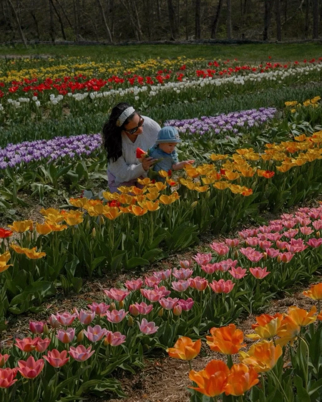 happy official first day of spring from me &amp; my lil tulip farmer!!🌷🧺