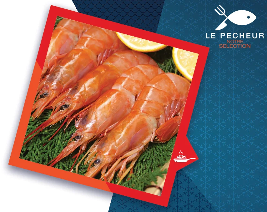 Congeles-prod2-Crevette-sauvages.jpg