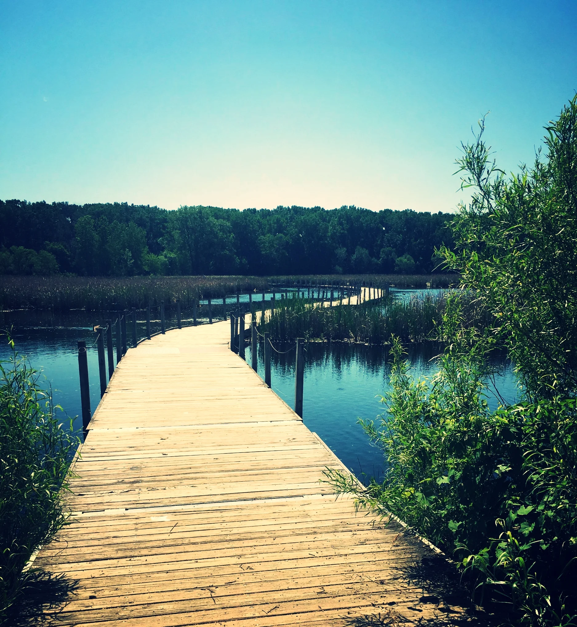 Wood Lake Nature Center