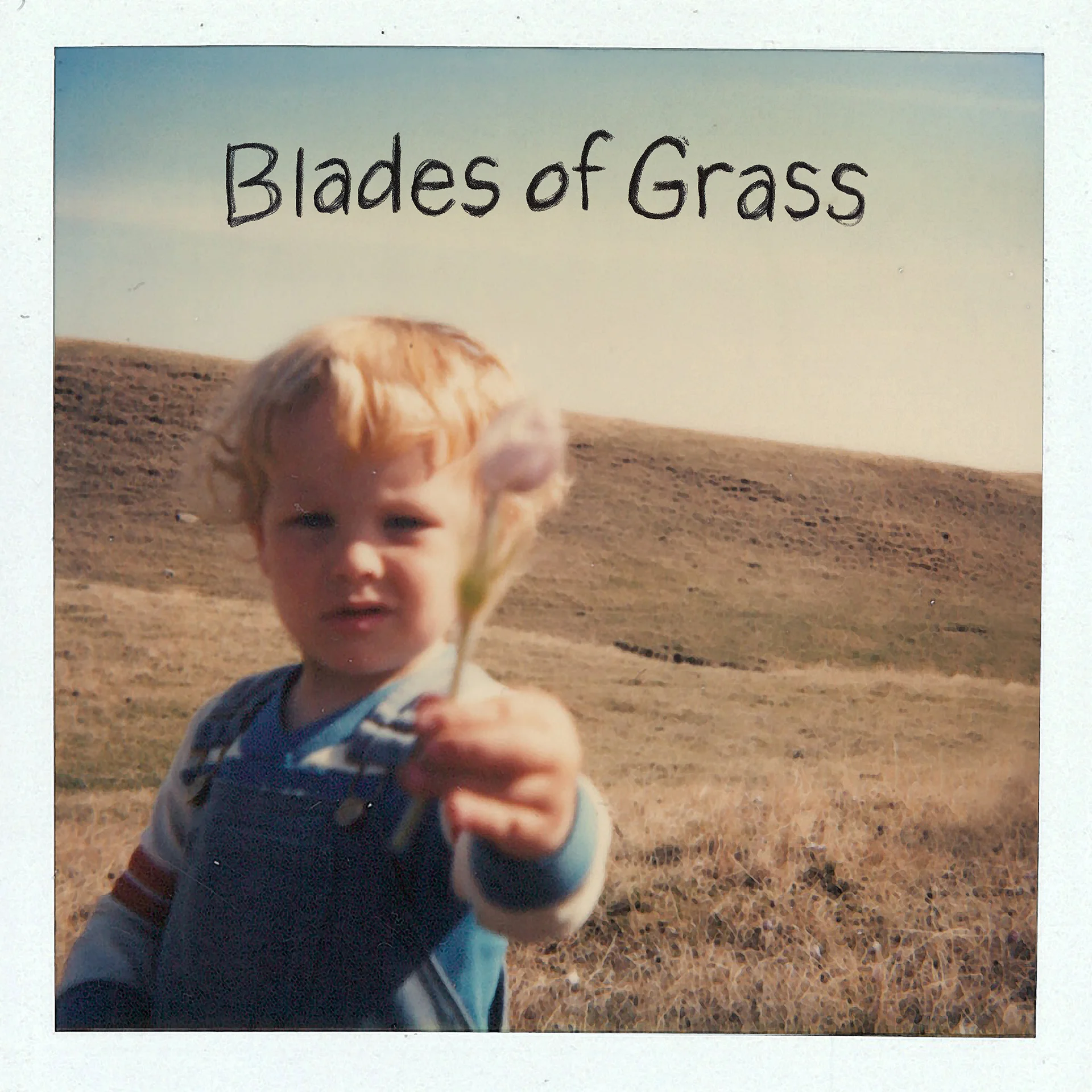 BladesOfGrass_Cover_digital.jpg