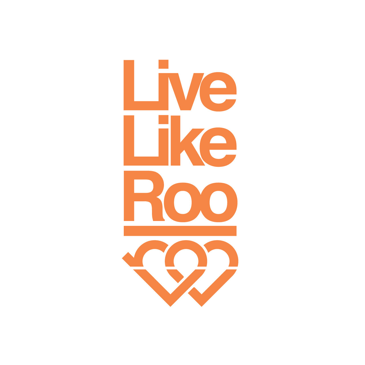 Live Like Roo Andy Mullady | Lake Austin Design Portfolio | Web & Brand Expert