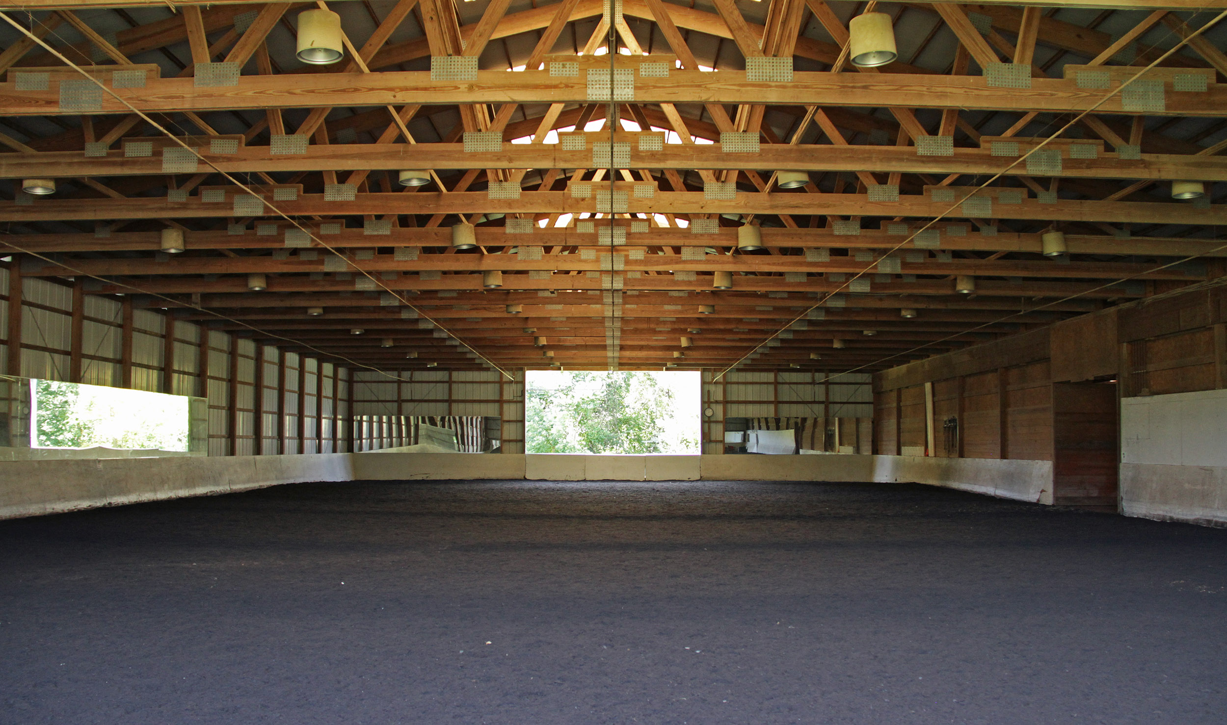 Apple-Hill-Dressage-7.jpg
