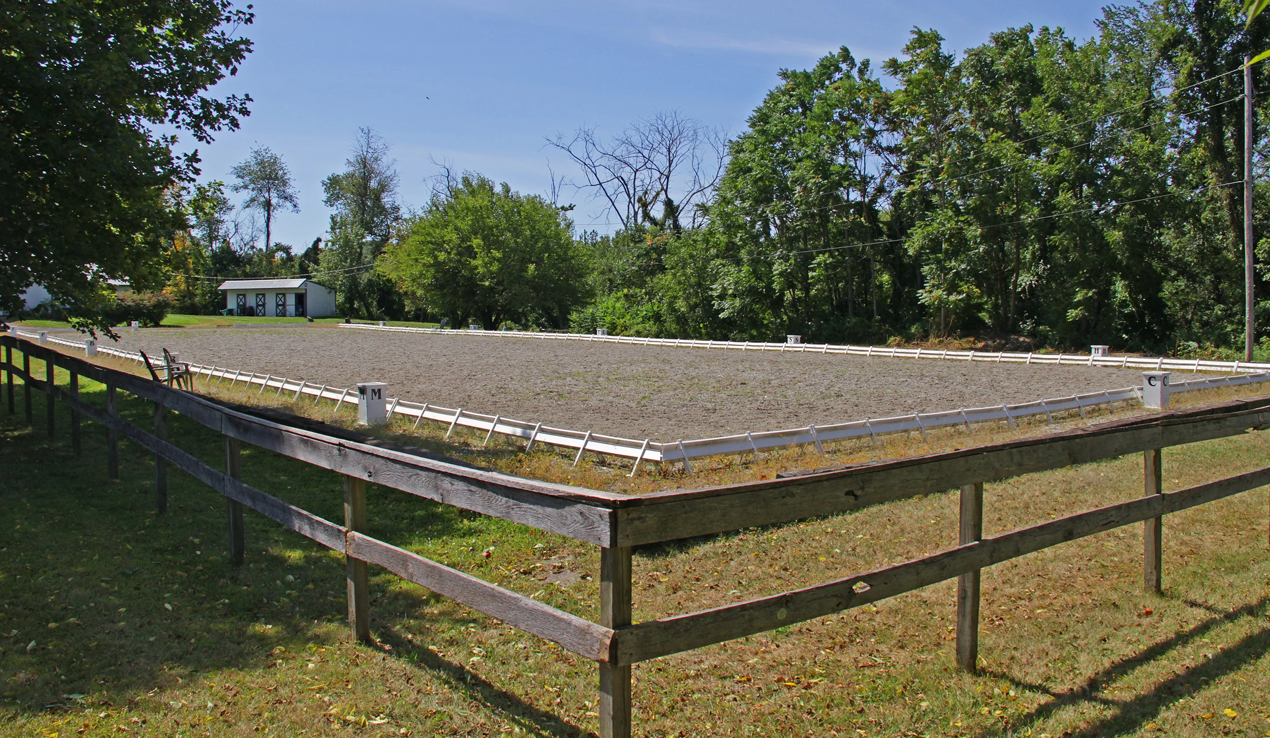 Apple-Hill-Dressage-11.jpg