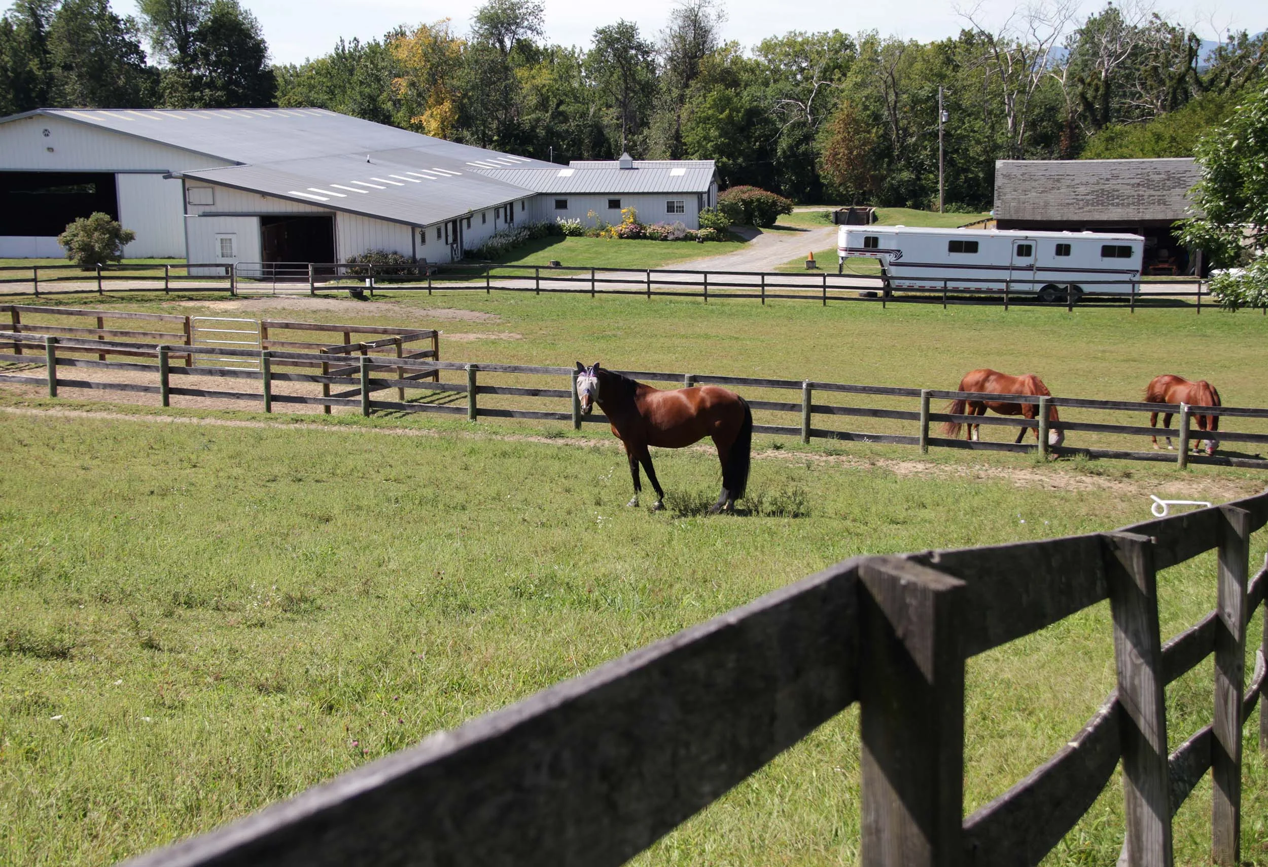Apple-Hill-Dressage-field-barn-in-back.jpg