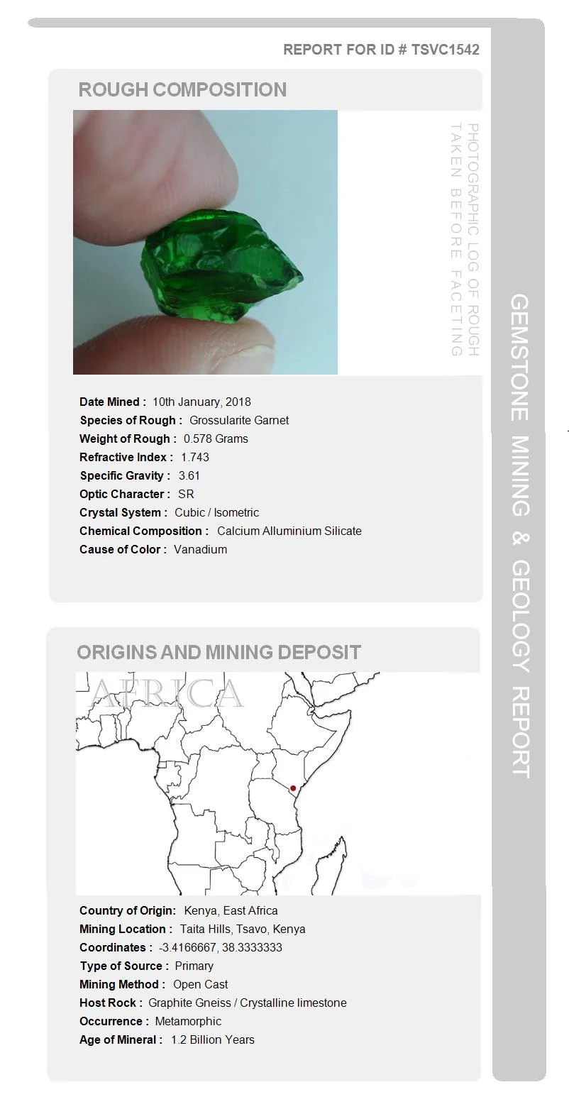 Mining Report