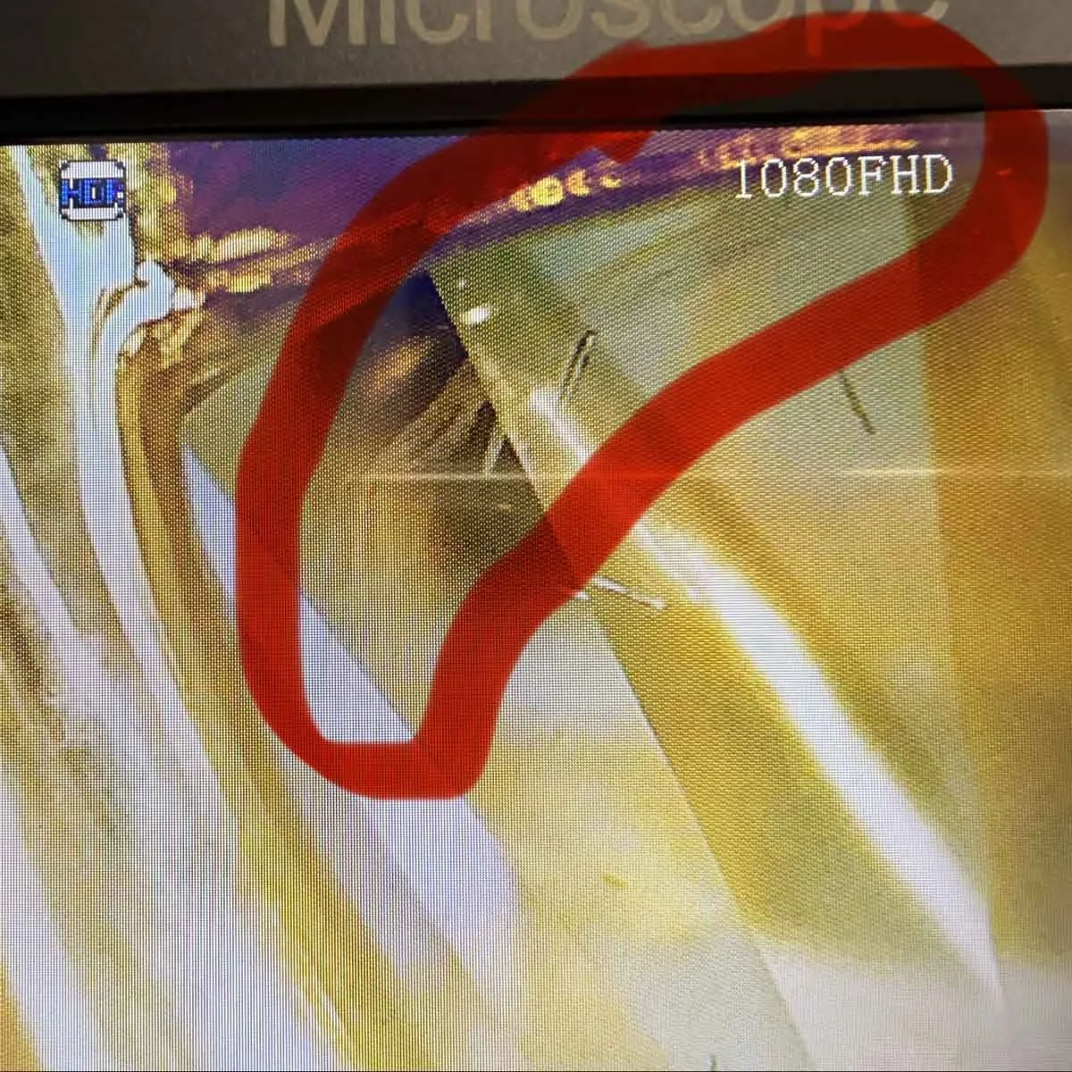 Diamond under microscope