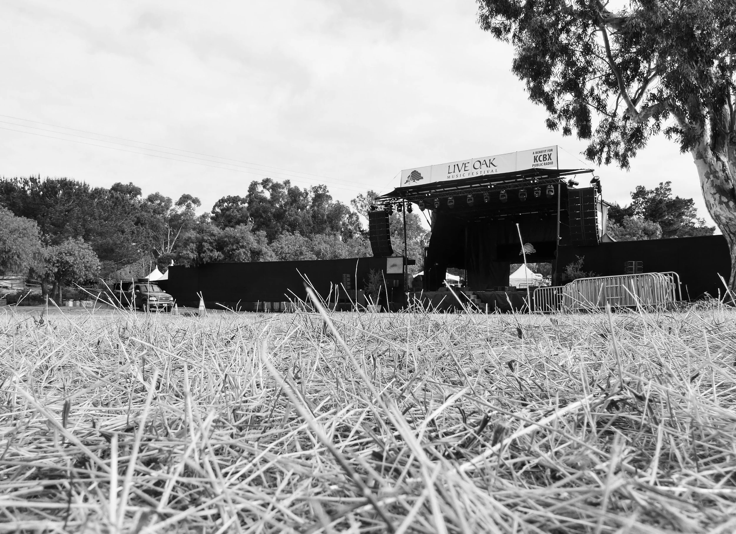 Photo Gary Robertshaw  (16).jpg