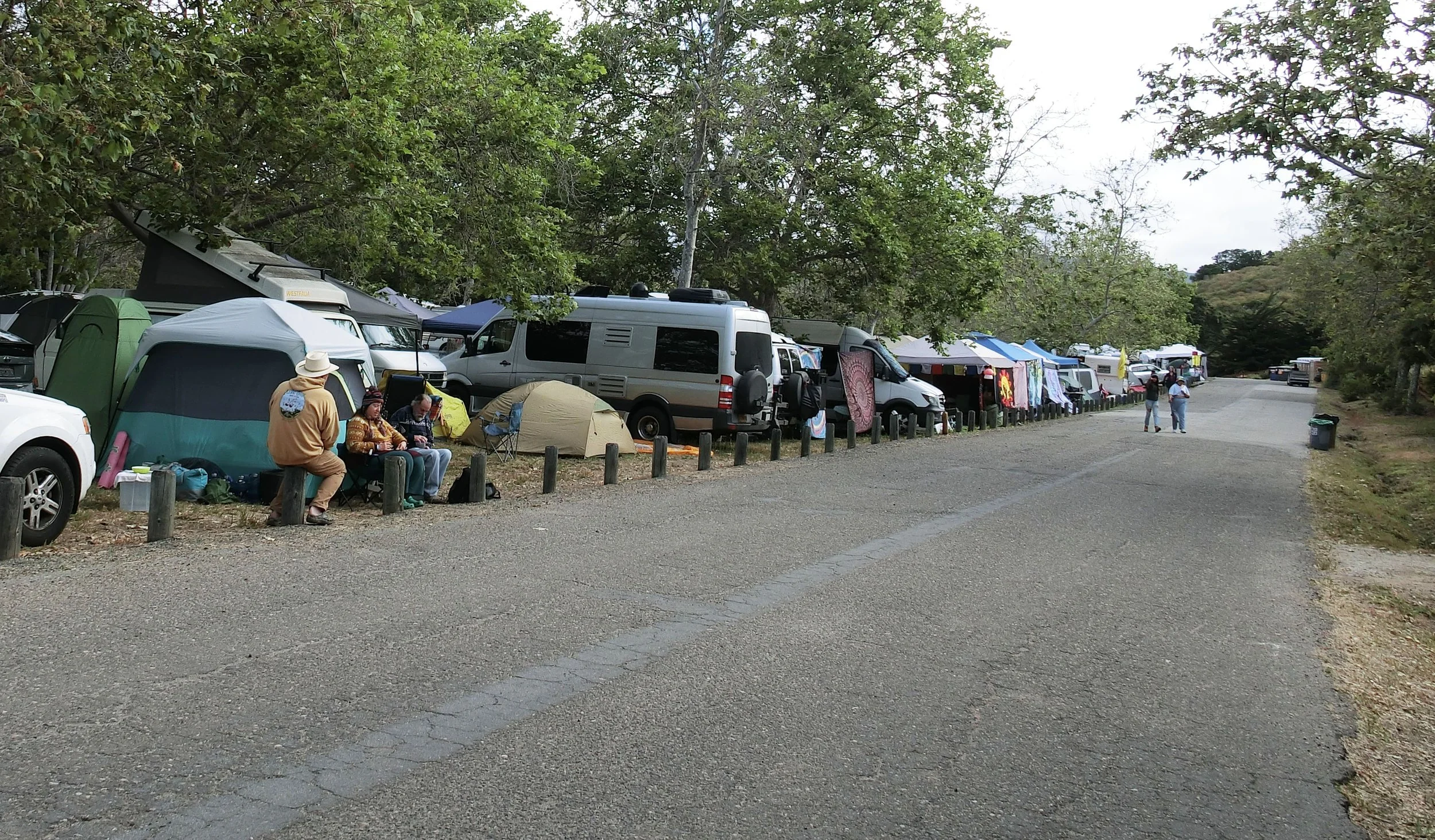 Photo Gary Robertshaw  (17).jpg