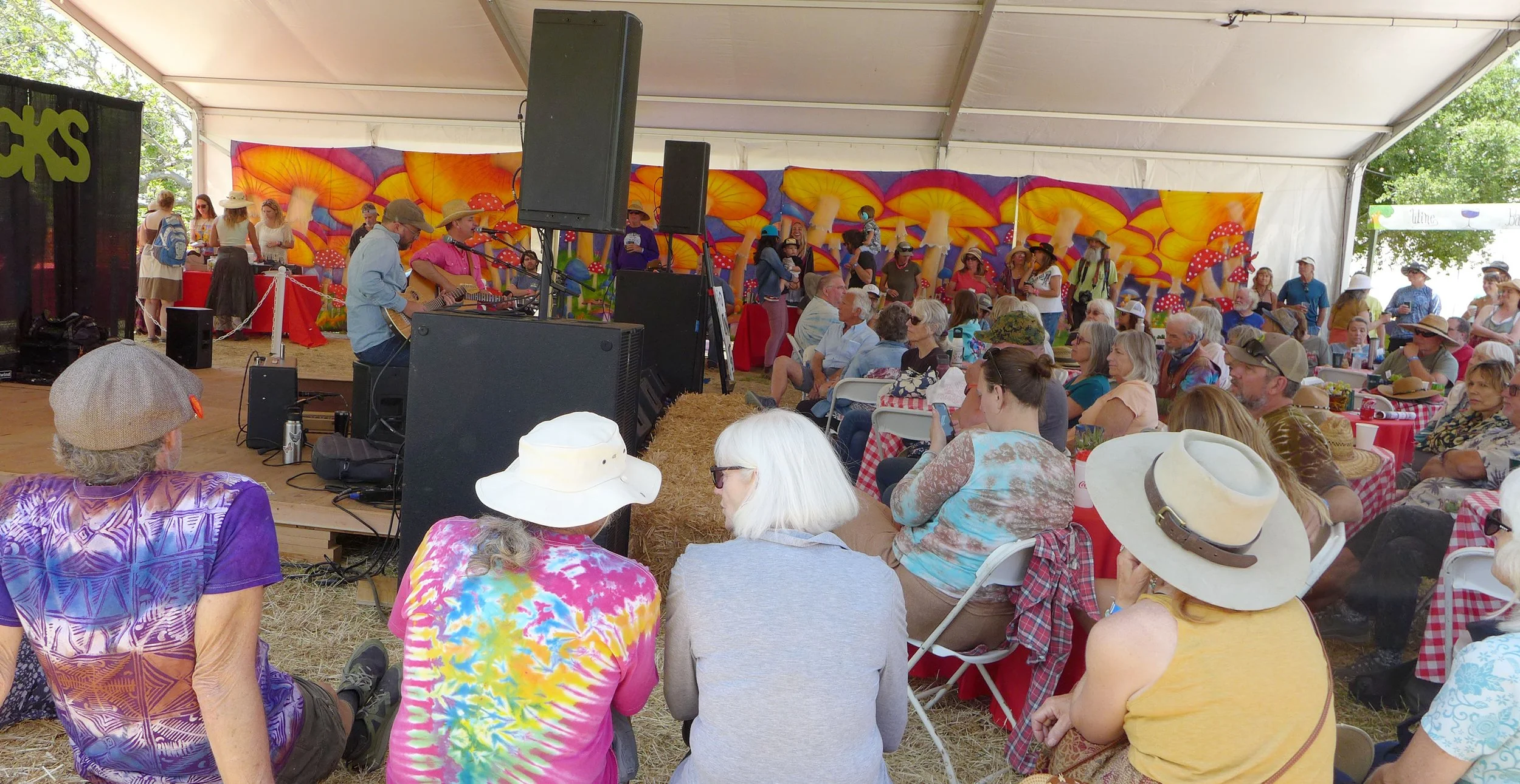 Photo Gary Robertshaw  (24).jpg