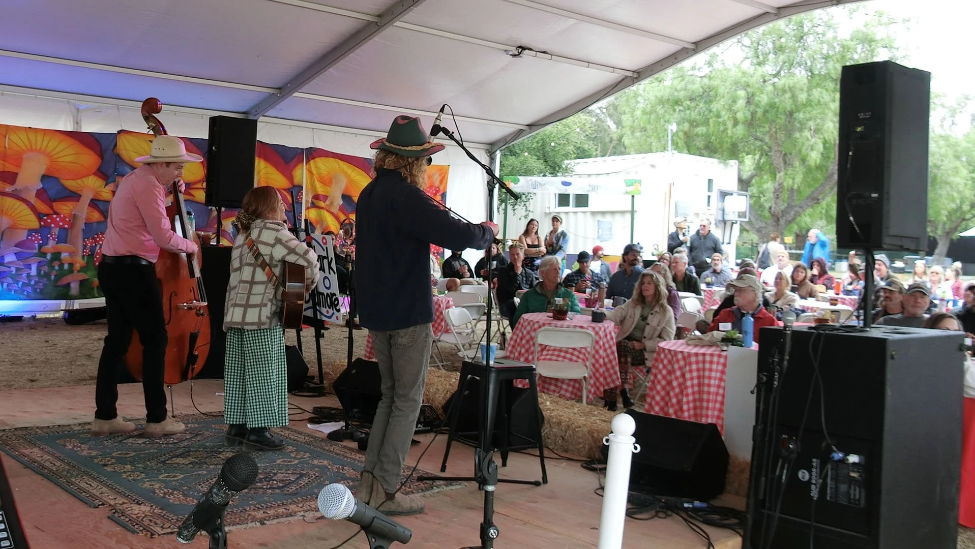 Photo Gary Robertshaw  (30).jpg