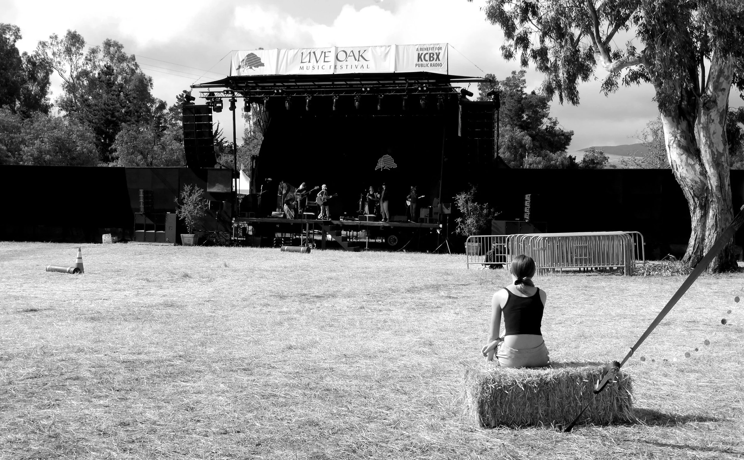 Photo Gary Robertshaw  (8).jpg