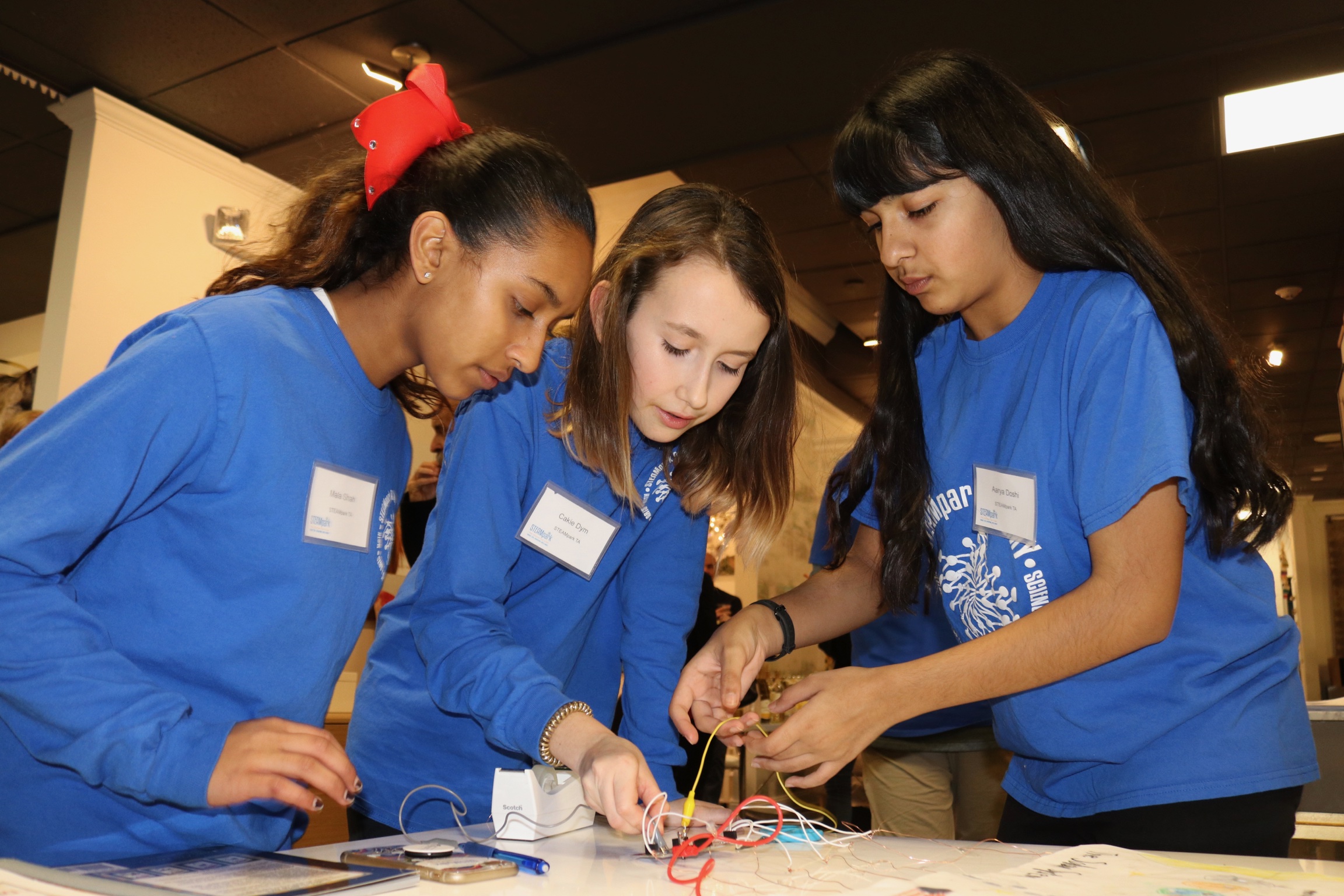 Student volunteers at The Color of STEAM!