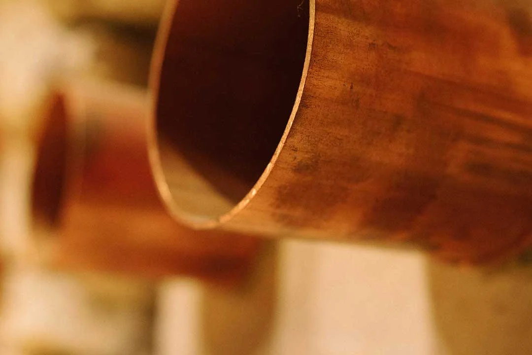 macro-basstrap03r.jpg