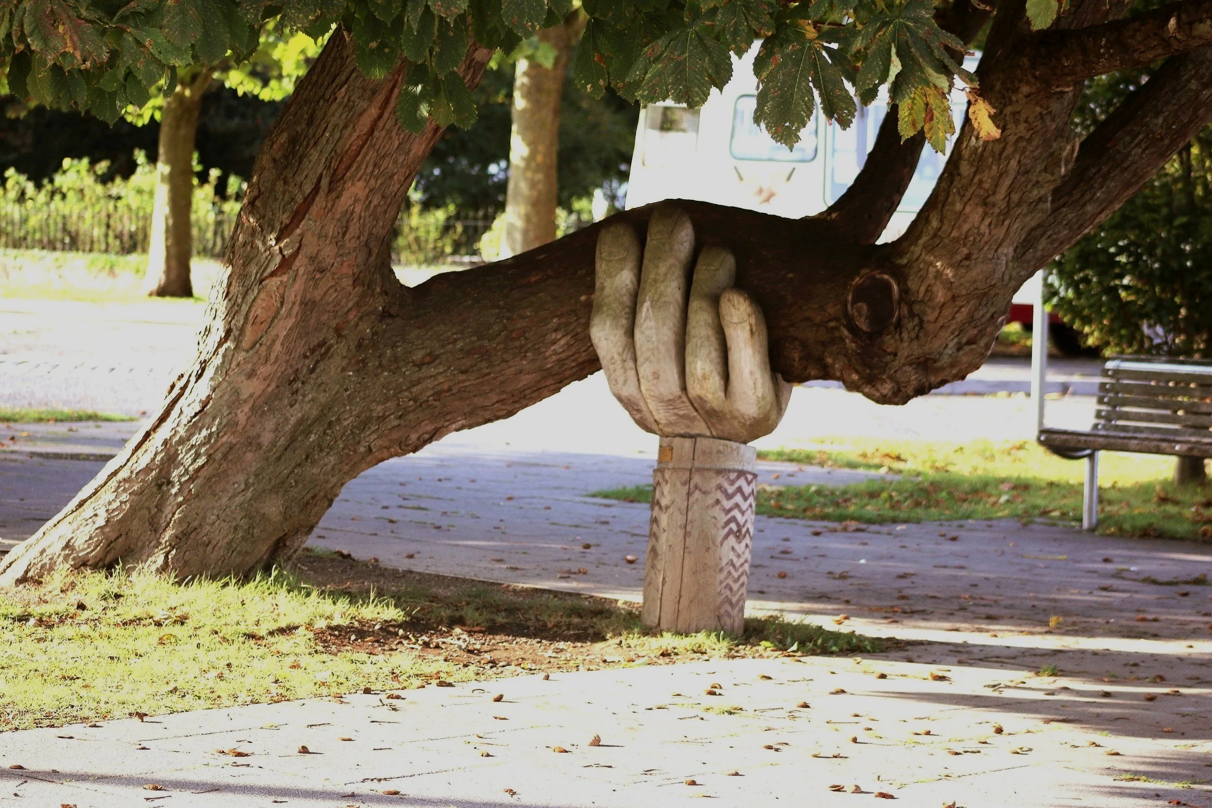 A tree with a carved hand-shaped branch holder holding a wooden post on a park sidewalk.