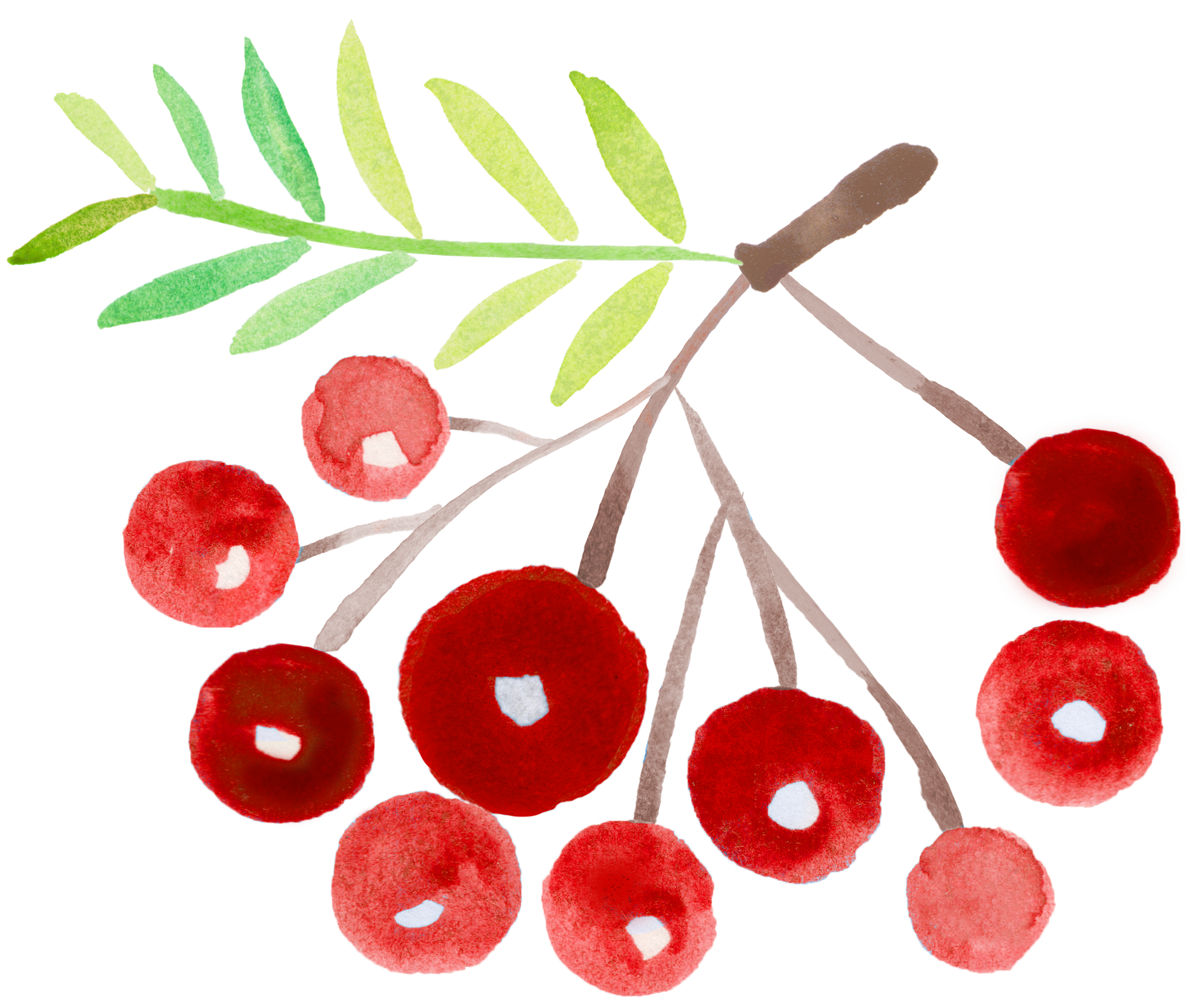 rowan_blue_00077.png