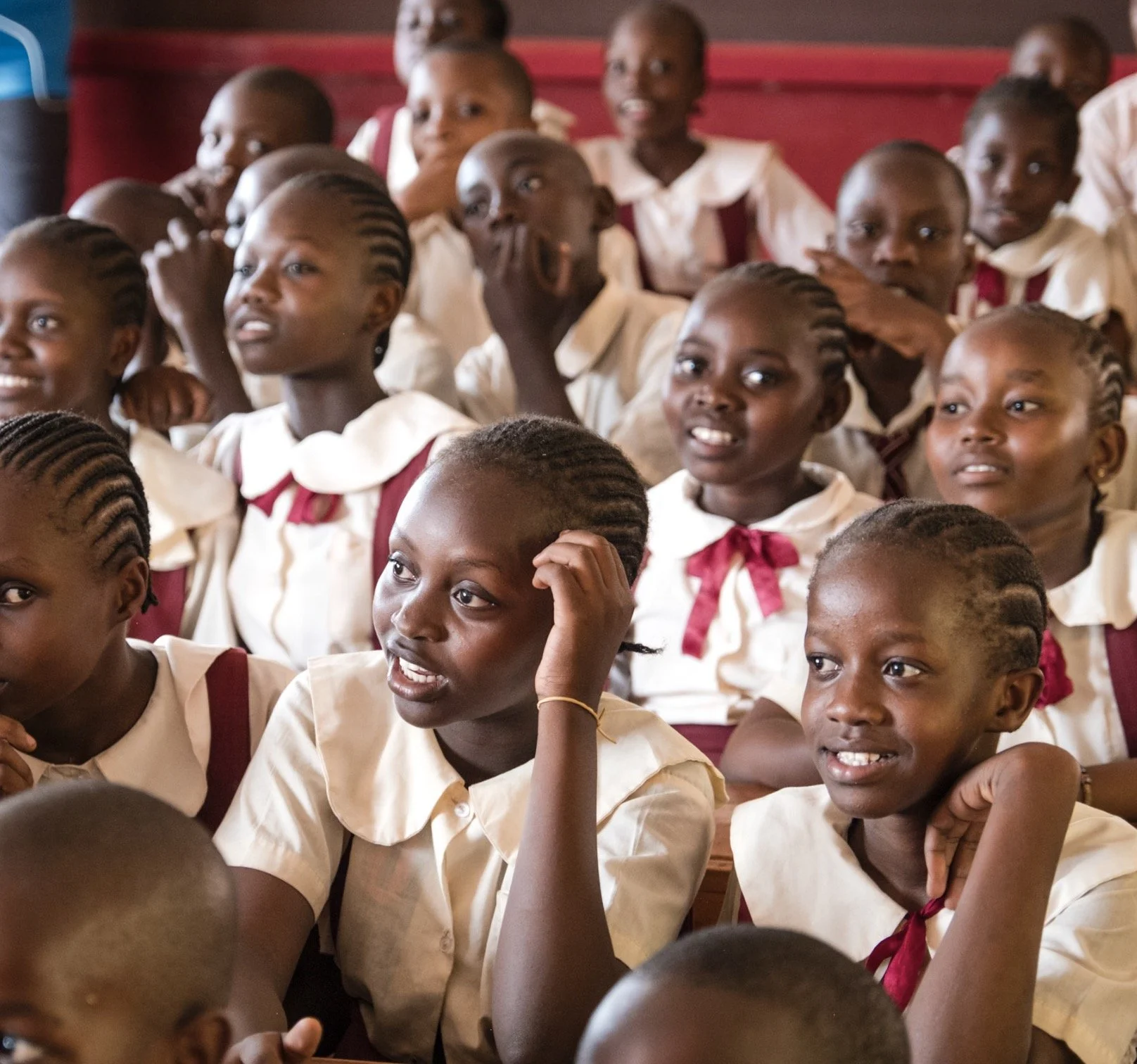 Screenshot 2024-11-27 at 10.37.08 AM.jpg