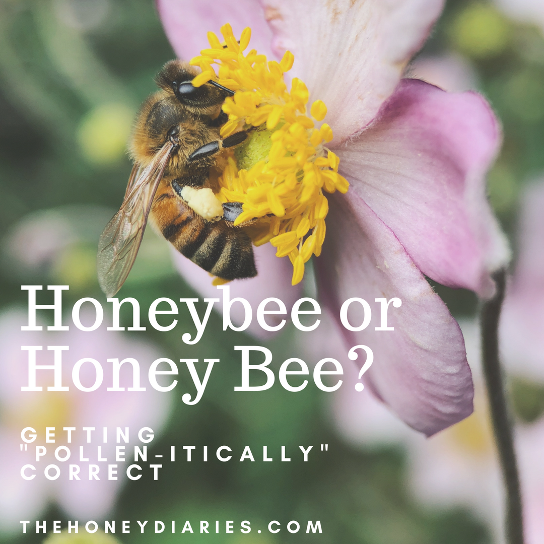 The Honey Diaries/Pollen-itically .png