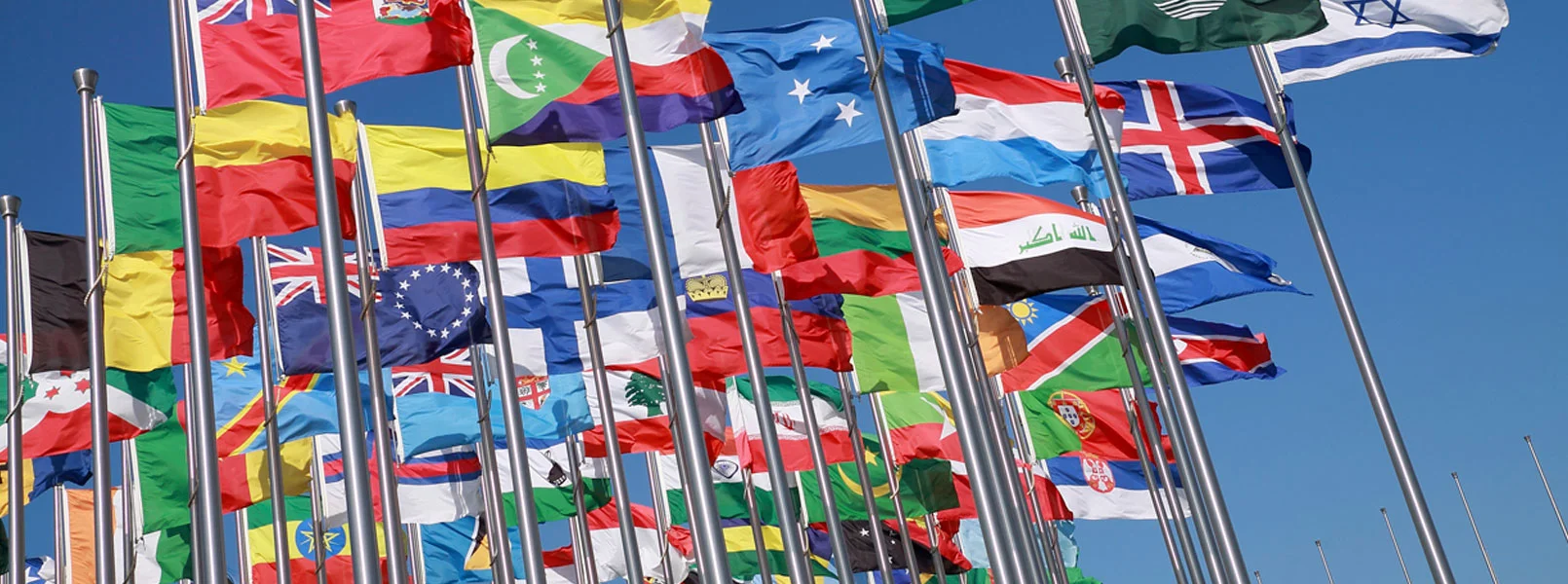 Flags_W.jpg