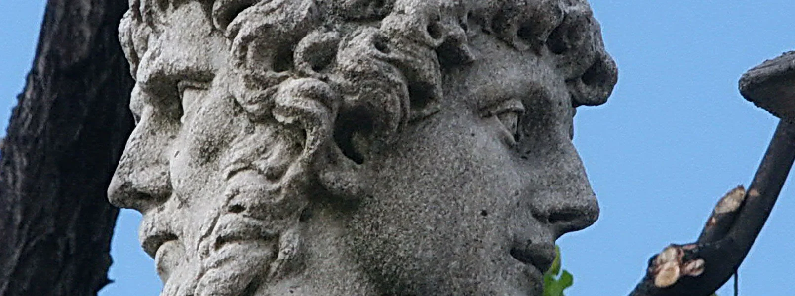 janus_w.jpg