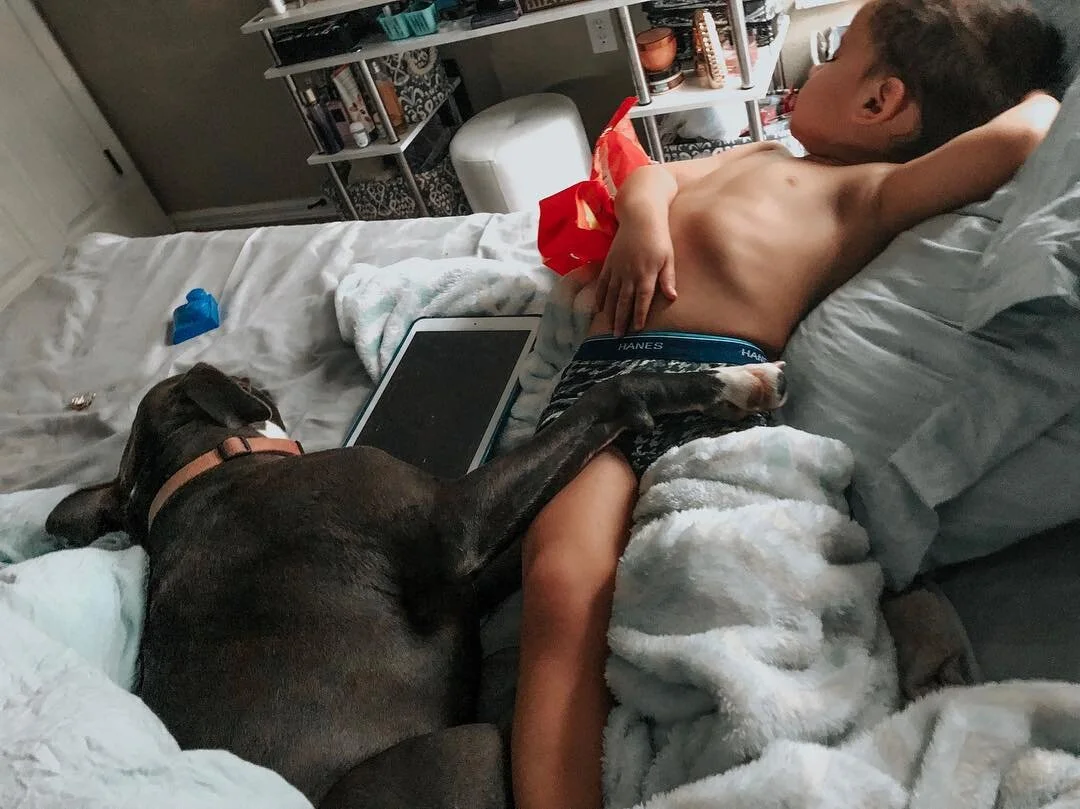 The Nightmare of Mastering The Potty 