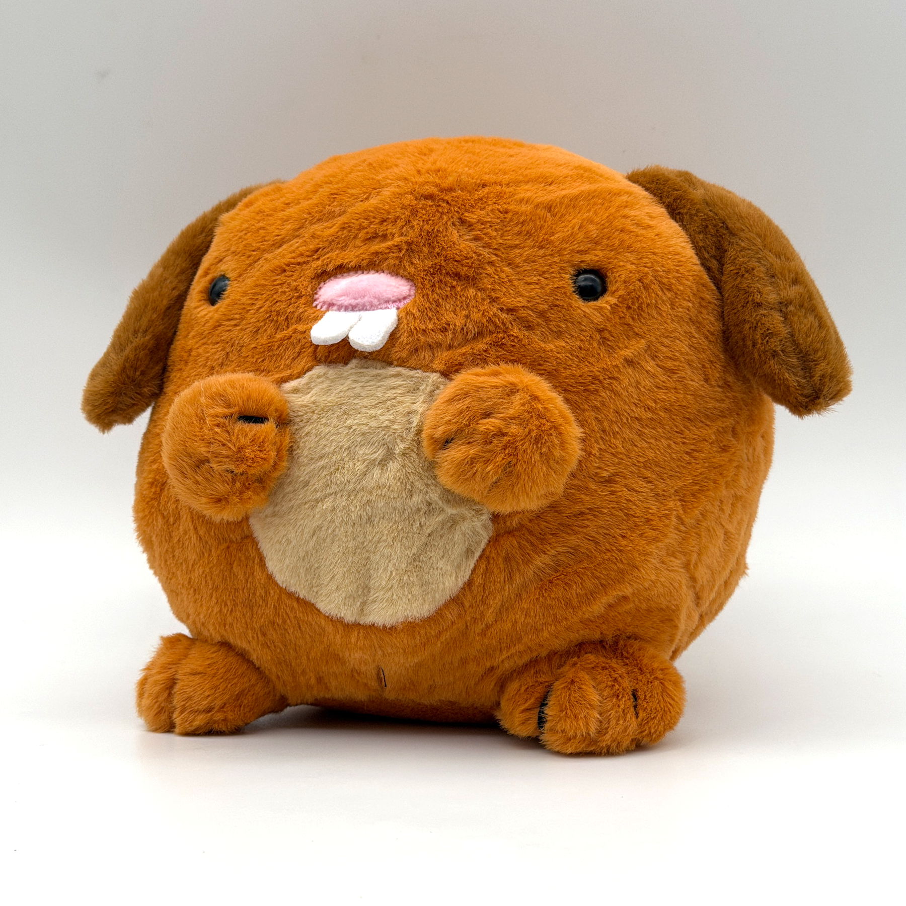 dog.png