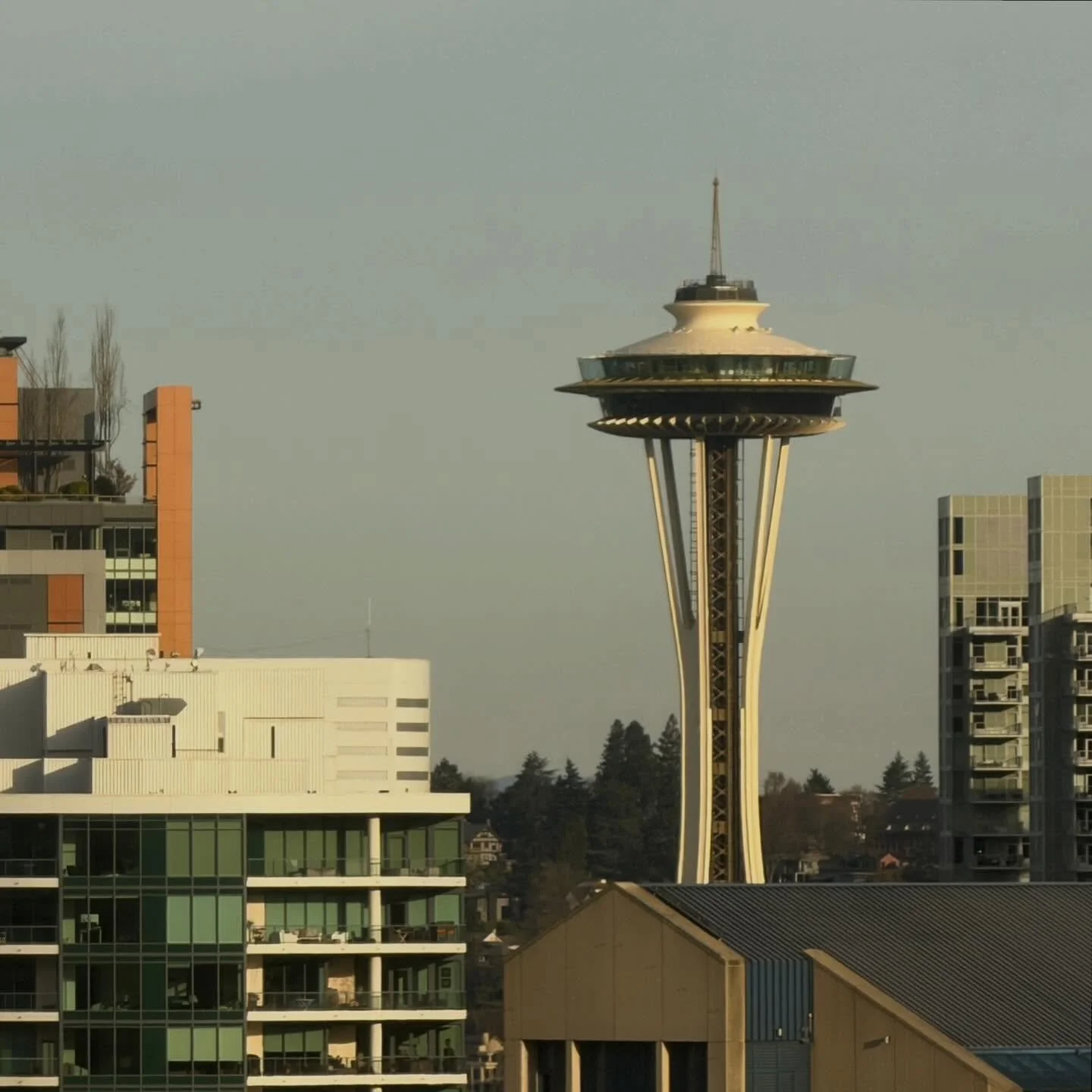 Morning Seattle!  Coming off the heels of the whirlwind of last weekend, I forgot to mention that I&rsquo;ll be here at Sakura Con at the Seattle Convention Center until 4PM today! Come find me at Booth 318. 

#sakuracon #seattle #anime #smallbusines