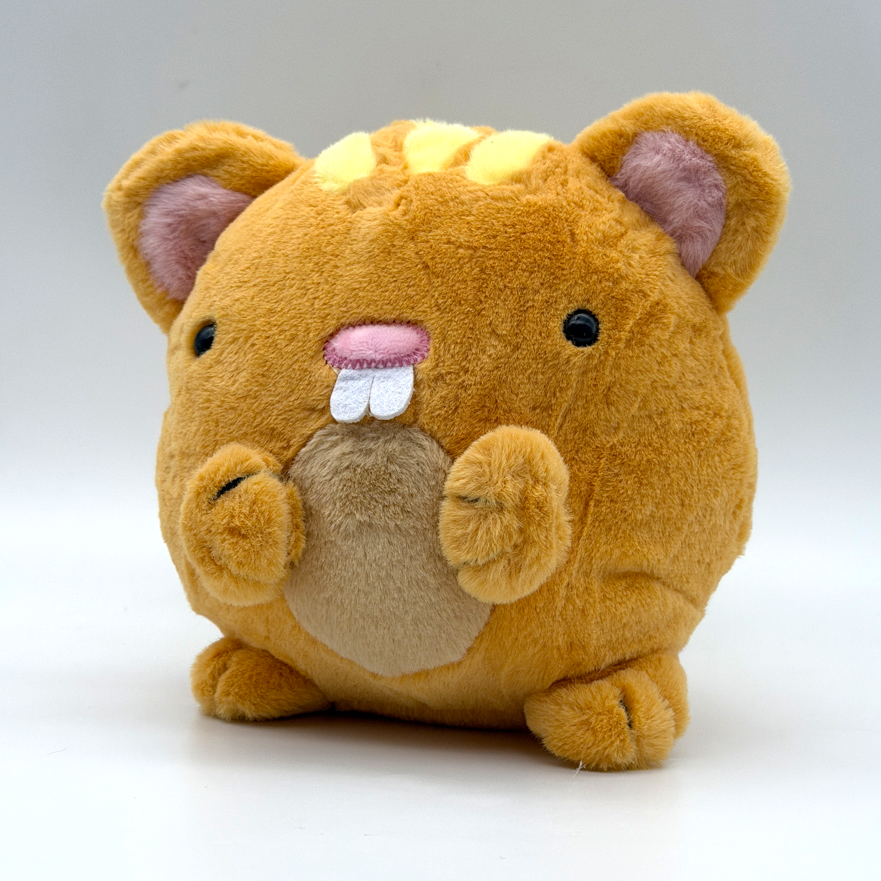 cat.png