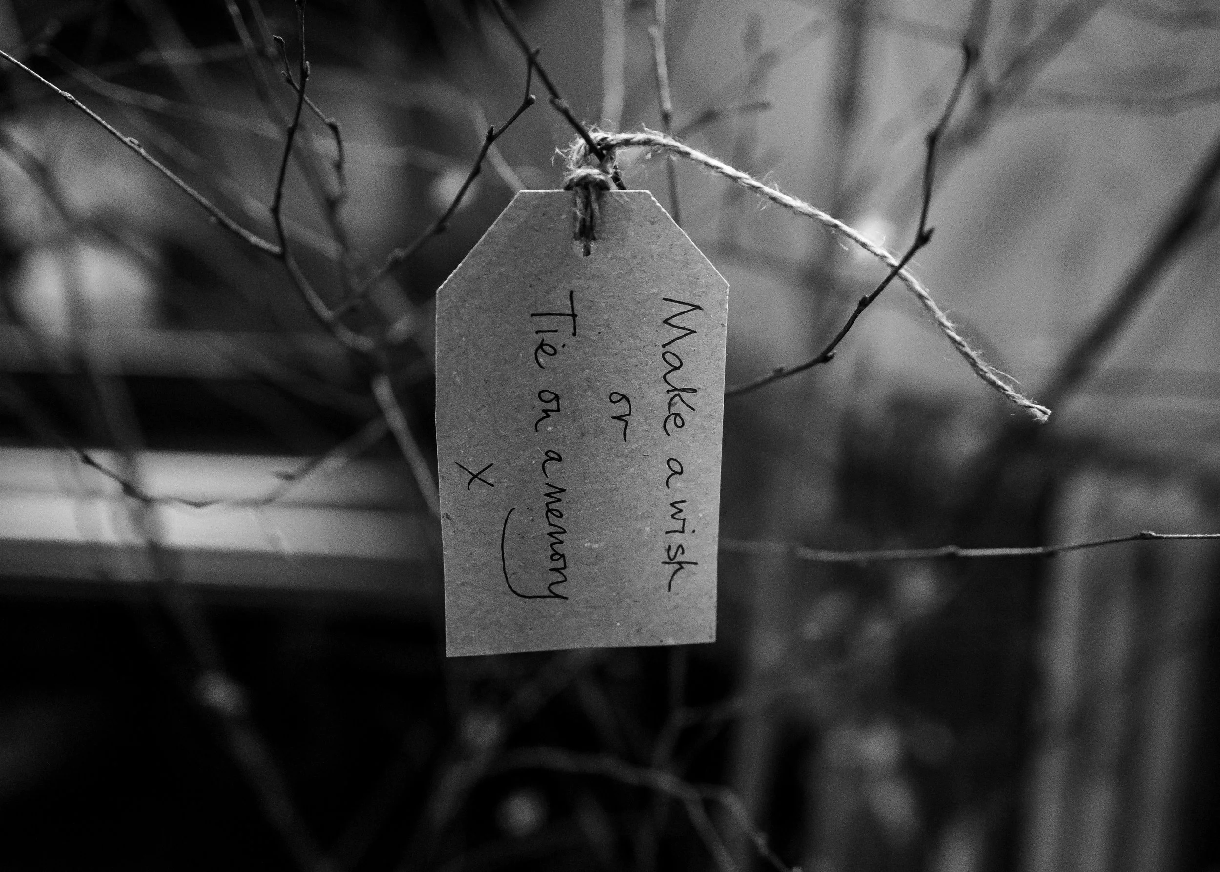 R6_15431.jpg