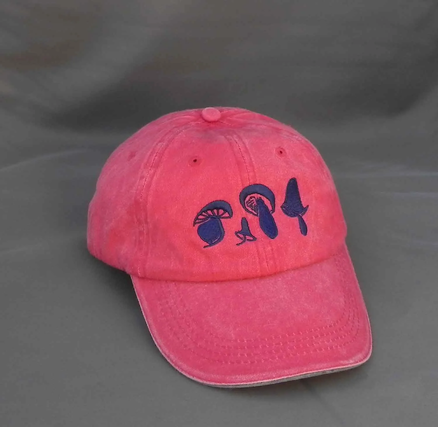 Red Baseball Cap with Navy Embroidery
