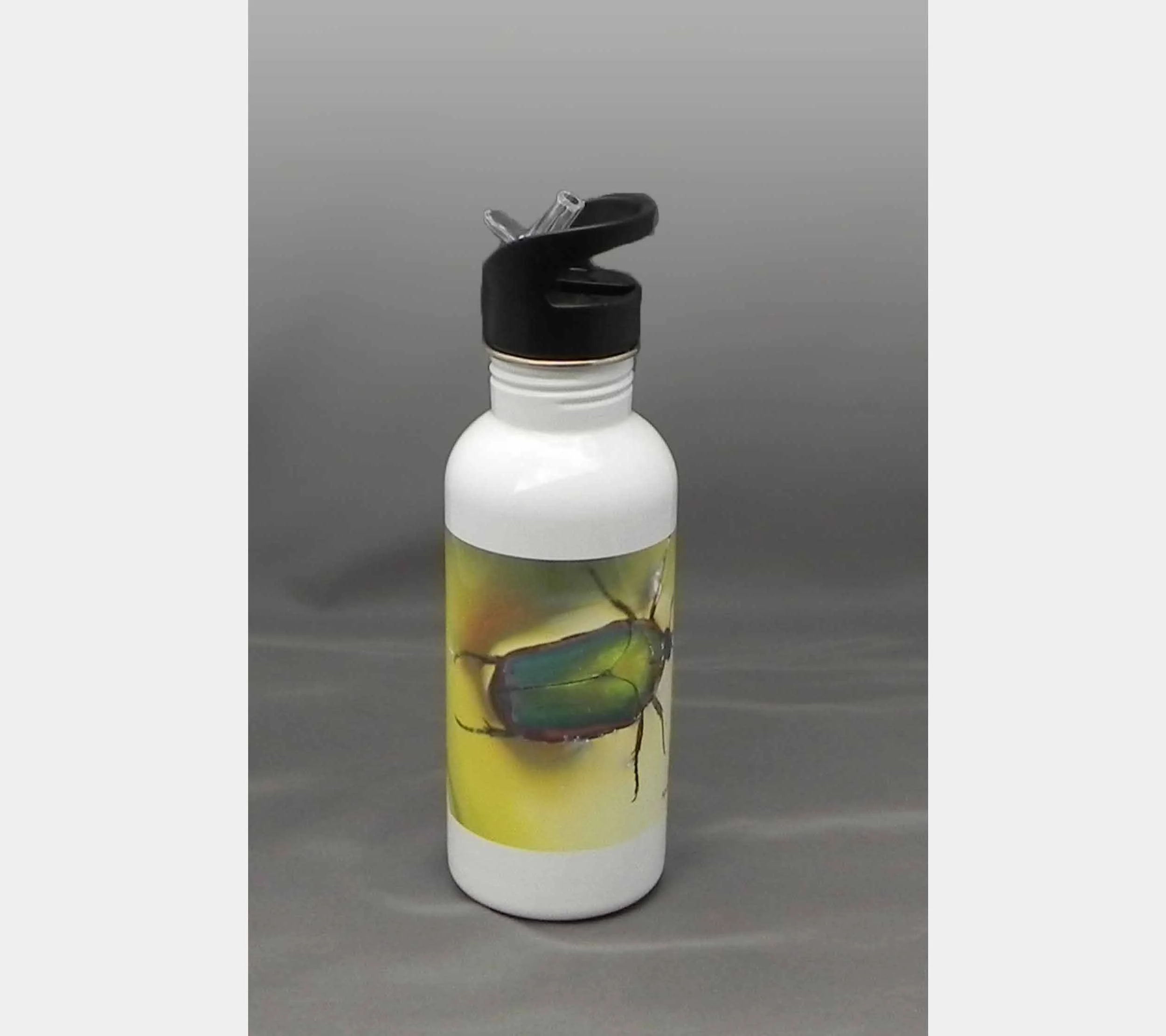 Waterbottle, Bug - 600mL Stainless Steel with Straw.