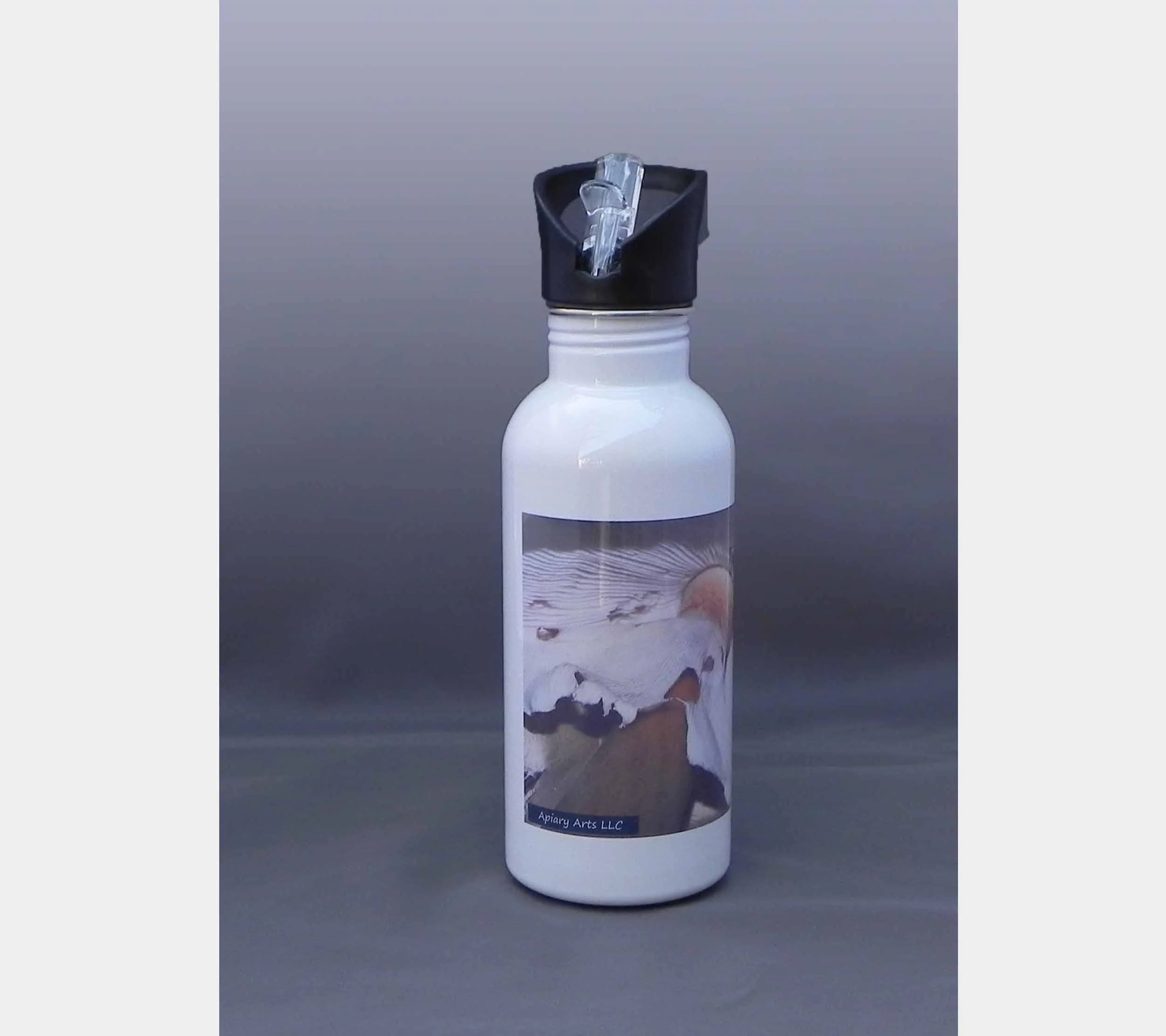 Waterbottle, Gills - 600mL Stainless Steel with Straw.