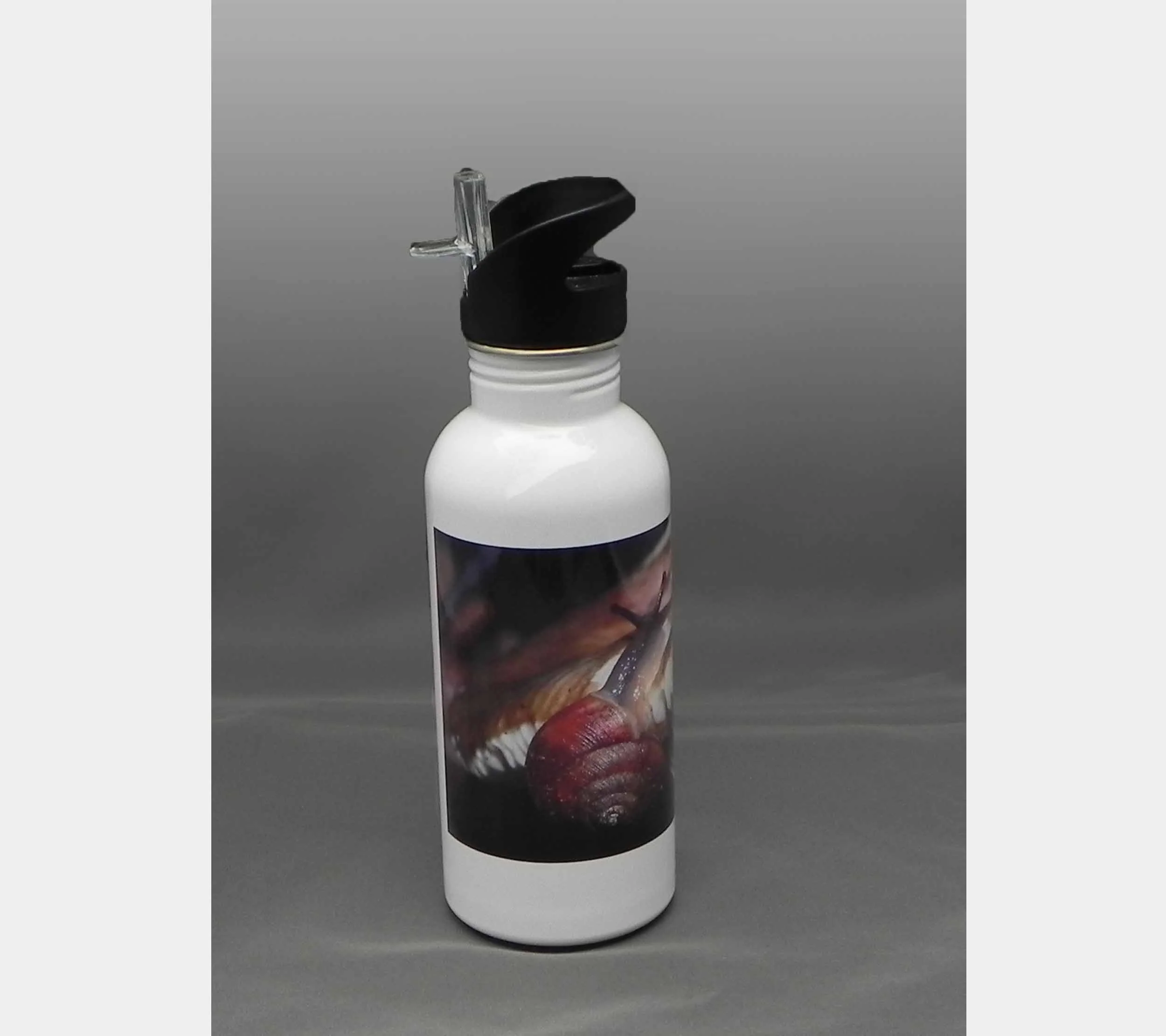 Waterbottle, Snail - 600mL Stainless Steel with Straw