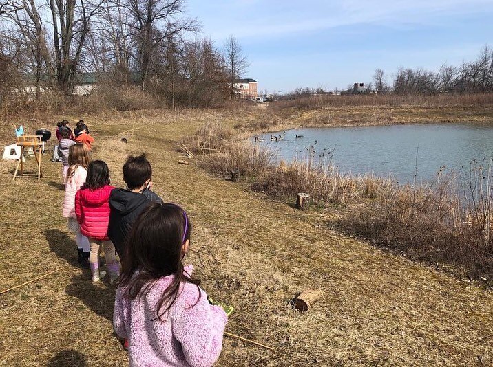 What a wonderful surprise: 8 Canadian Geese visited our Pond today and we had our binoculars ready!