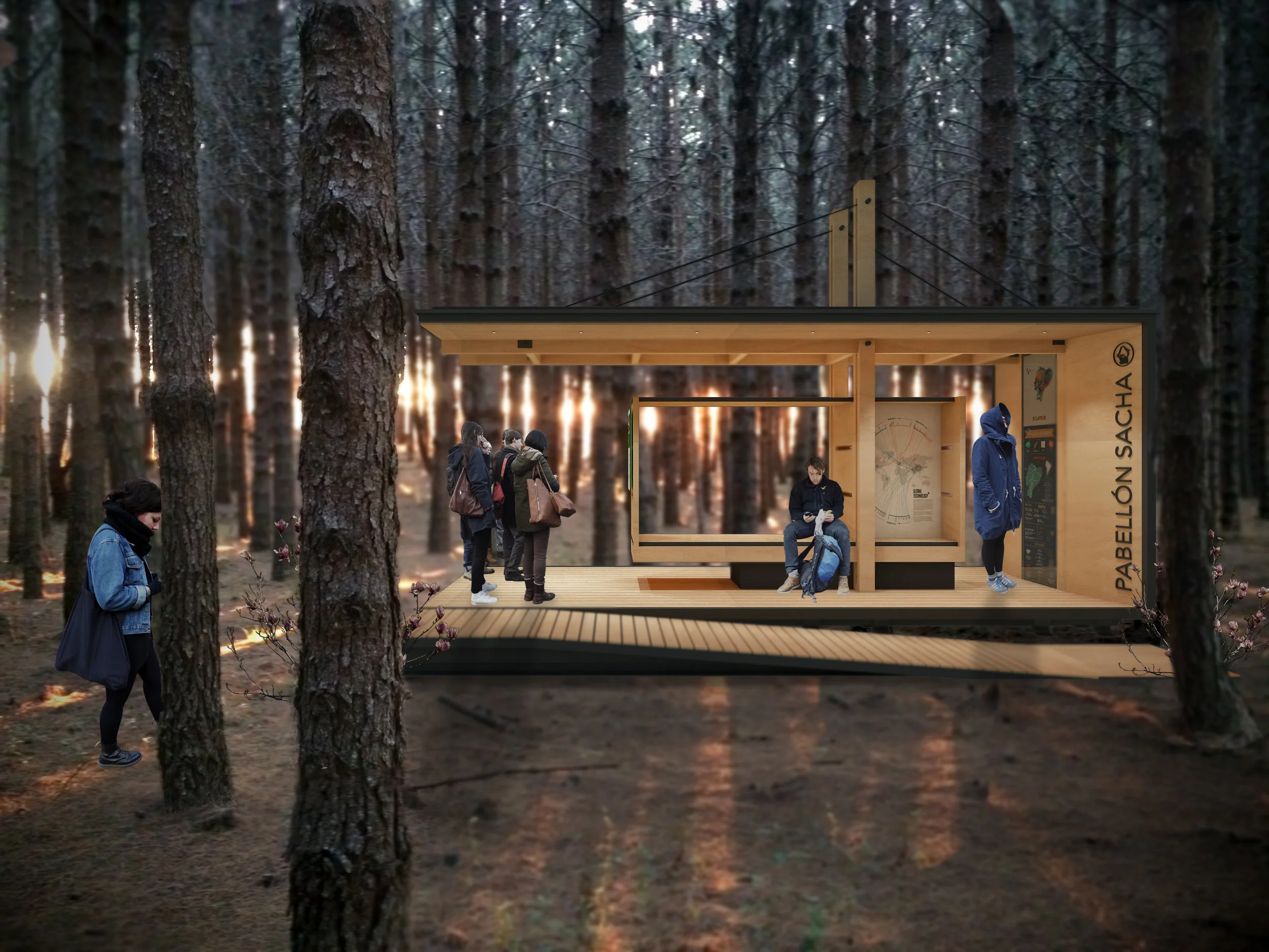 PERSPECTIVA NOCTURNA