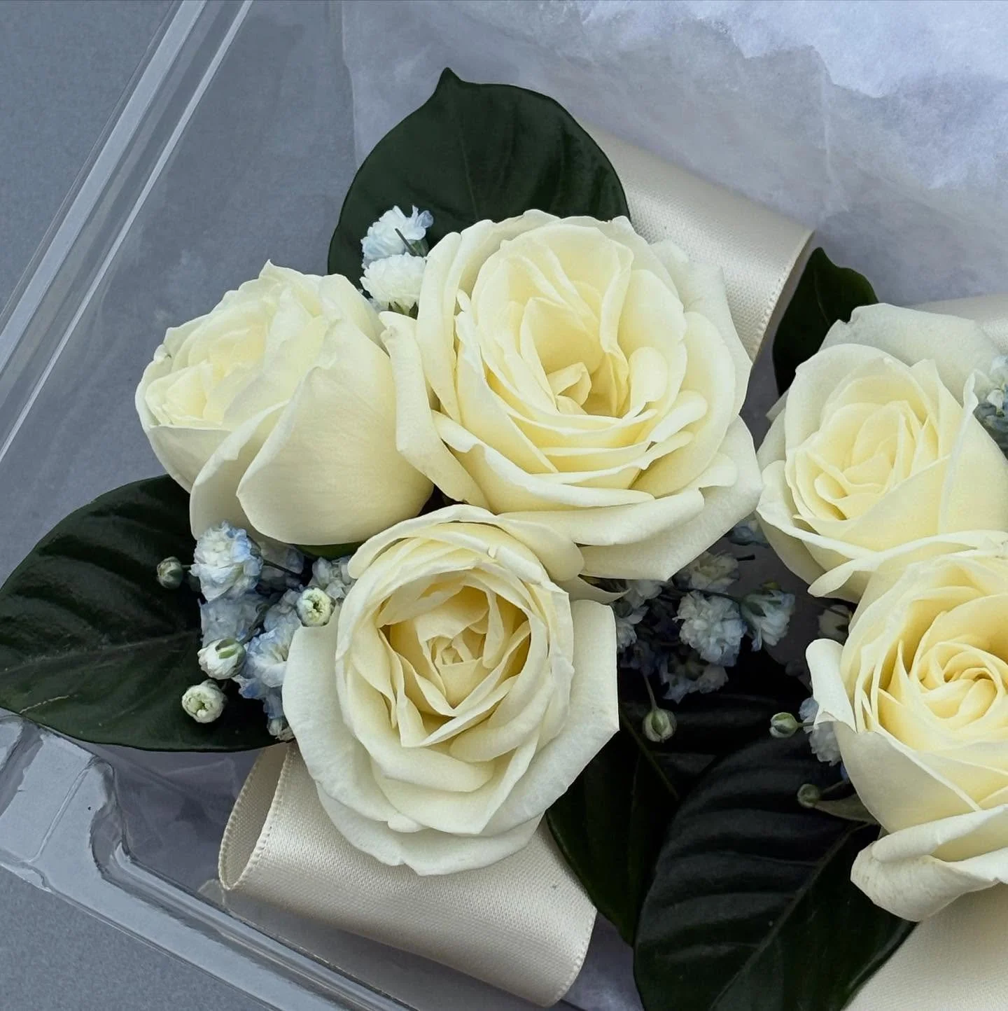 Spray Rose Corsages with a hint of blue 🩵

.
All 2025 Brides, schedule your WEDDING CONSULTATION today! Contact Pink Petals at info@pinkpetals.ca Or by phone 📞 at (647) 969-8157.
.
Follow us and double tap! ❤️💐🌸🌺🌹🌷
#weddingflowers #flowerwalls