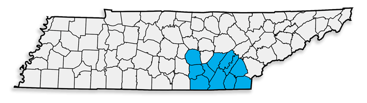 CHA-FTZ-Tennessee.png