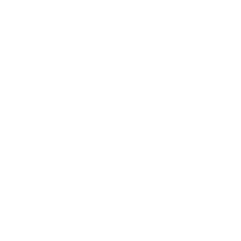 Destination Icon_Charlotte.png
