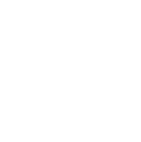 Destination Icon_Dallas.png