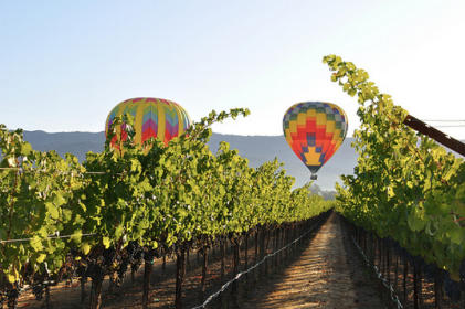 (SOLD OUT) Small-Group Trip to Napa + Sonoma 