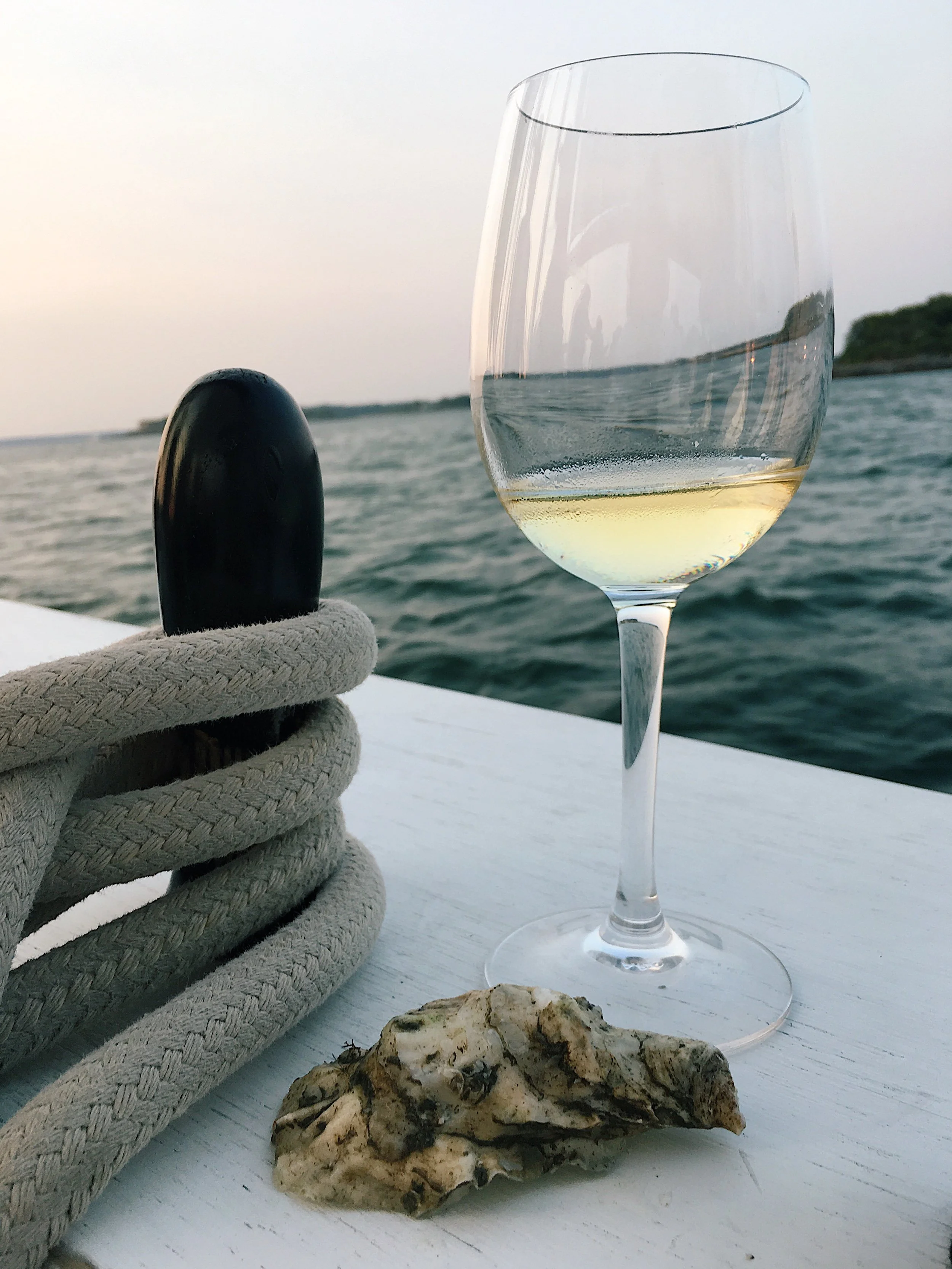 wine-wine-portland-maine-sail-white_oyster.jpg