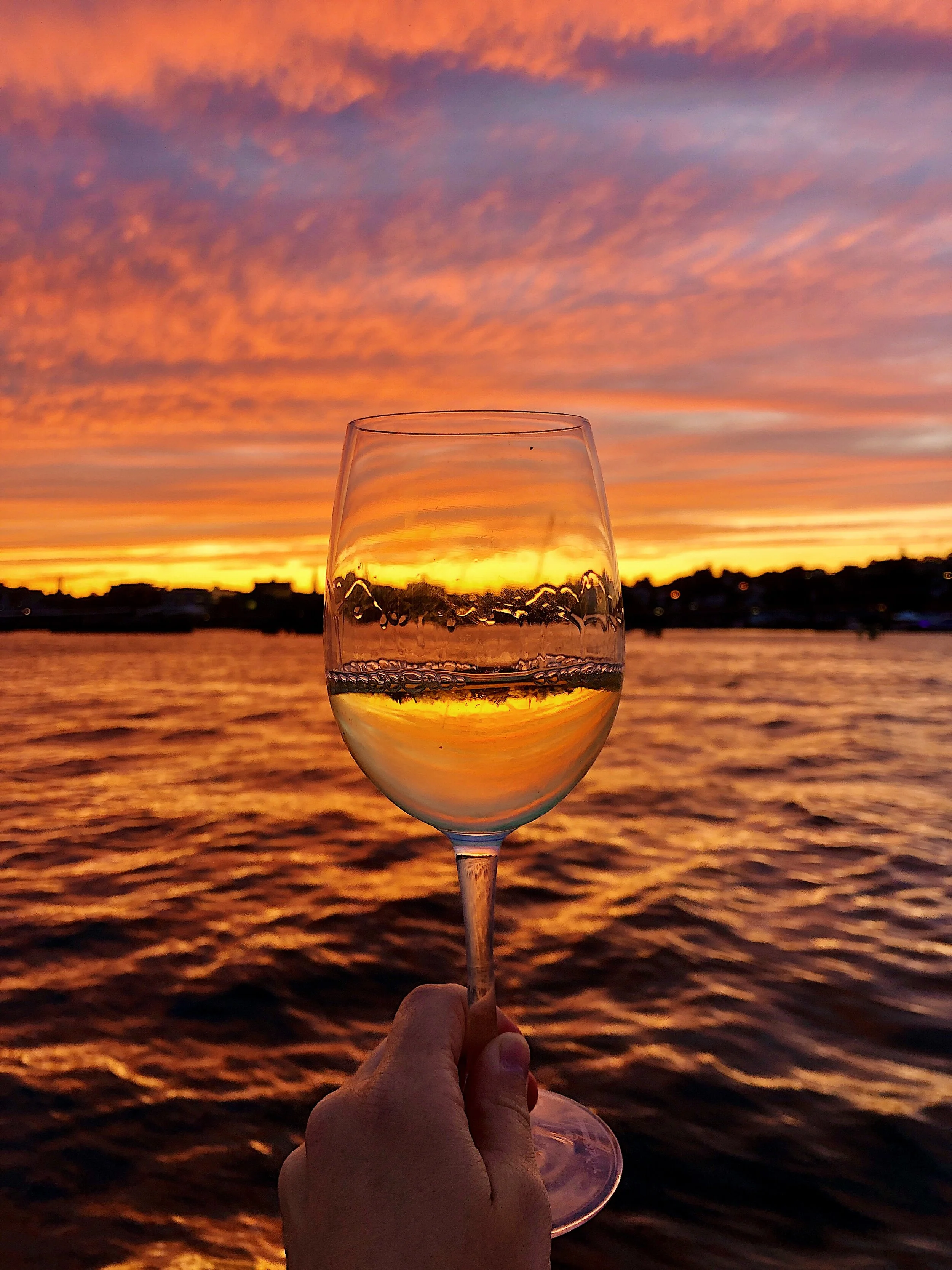 orange_wine_wise_events_wine_sail_winesail_sunset.jpg