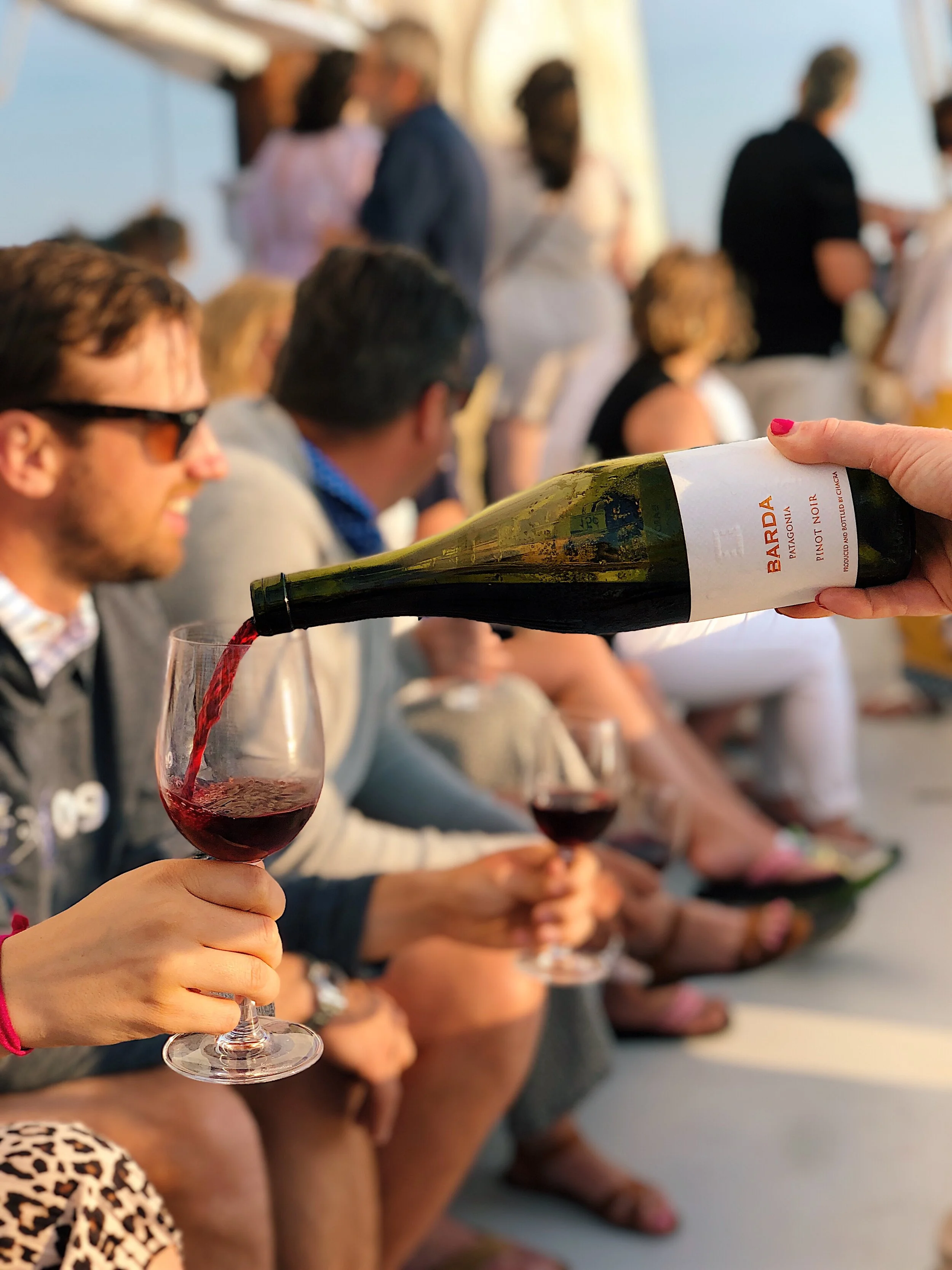 wine_wise_events_sail_portland_maine_pour_south_america_red_pinot_noir.jpg