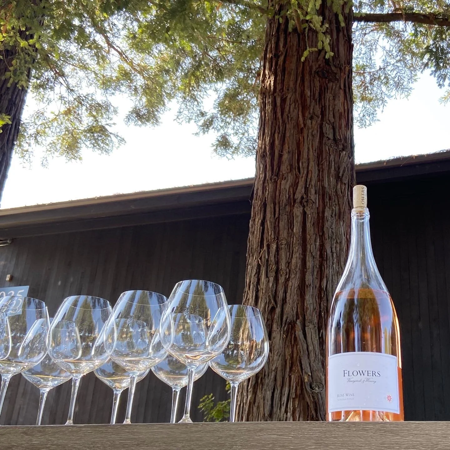 wine_wise_trips_napa_sonoma_flowers_2019_5264AA58-B379-4521-9088-070D06389E7B.JPG