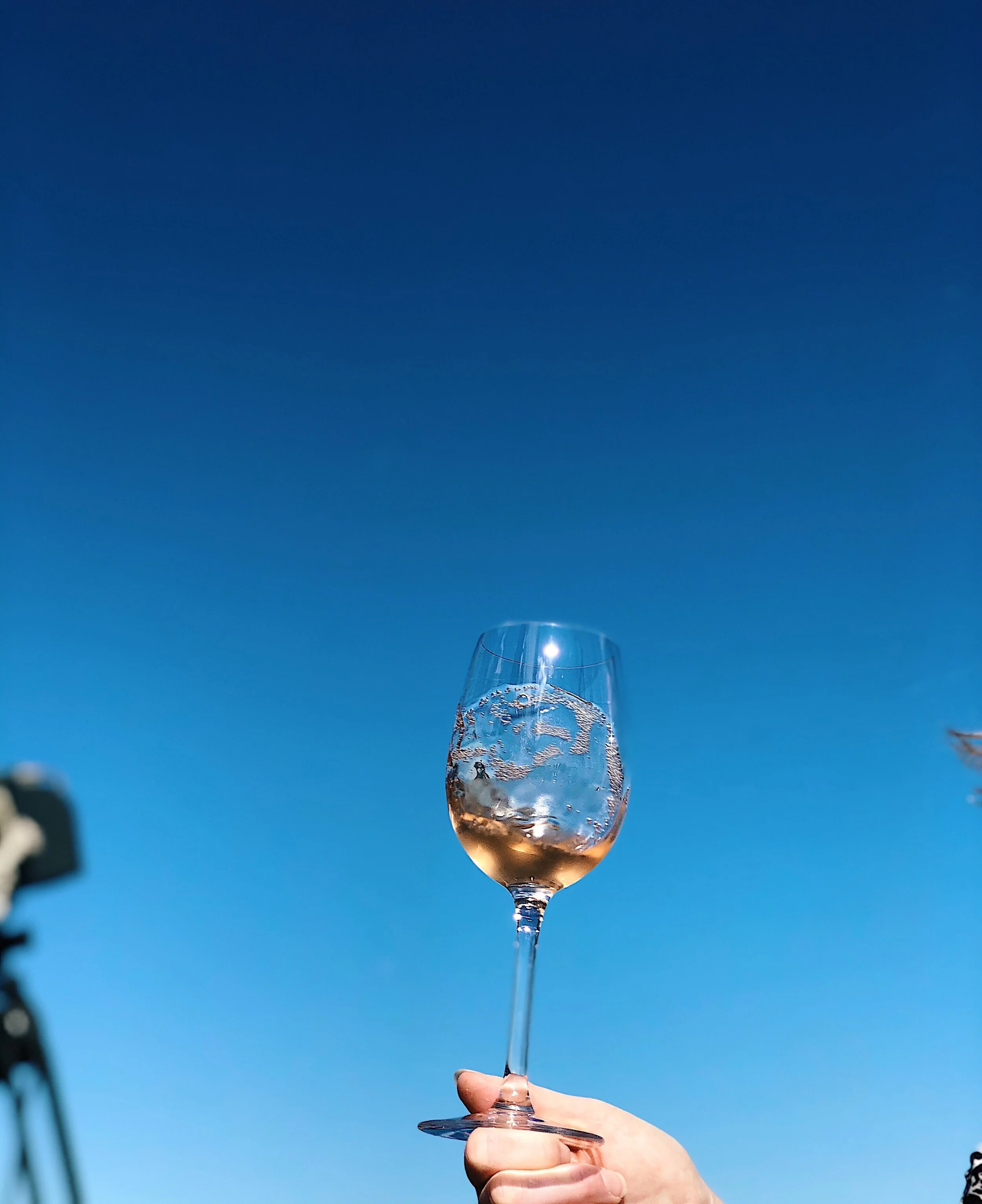 wine_wise_events_portland_winesail_sail_chaval_france_0902202_rose_sky.JPG