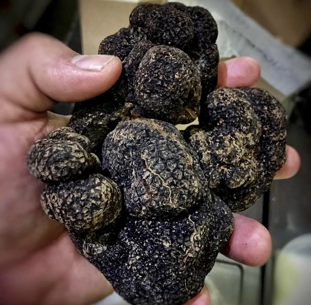 Valentine's Day Périgord Black Winter Truffle Virtual Wine Dinner for Two with Chef Damian Sansonetti of Chaval (delivery included)