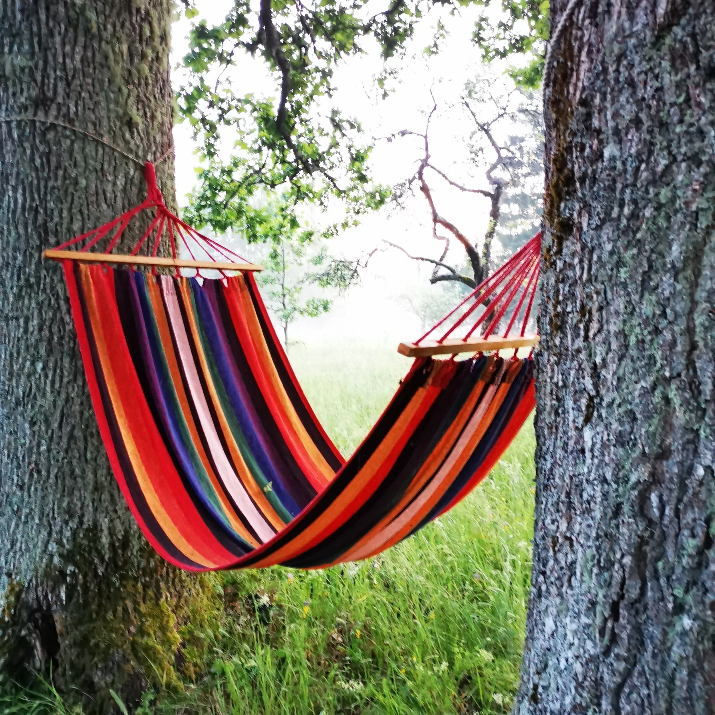 On Vacation: No Events Today