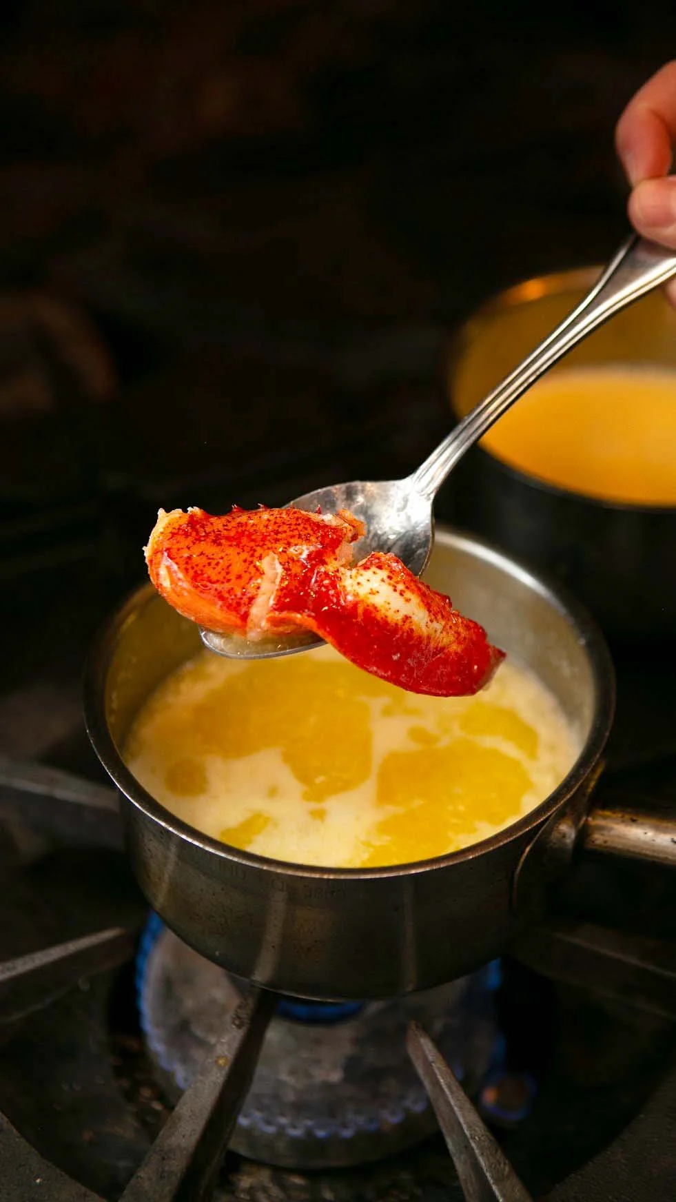 Lobster 01.jpg
